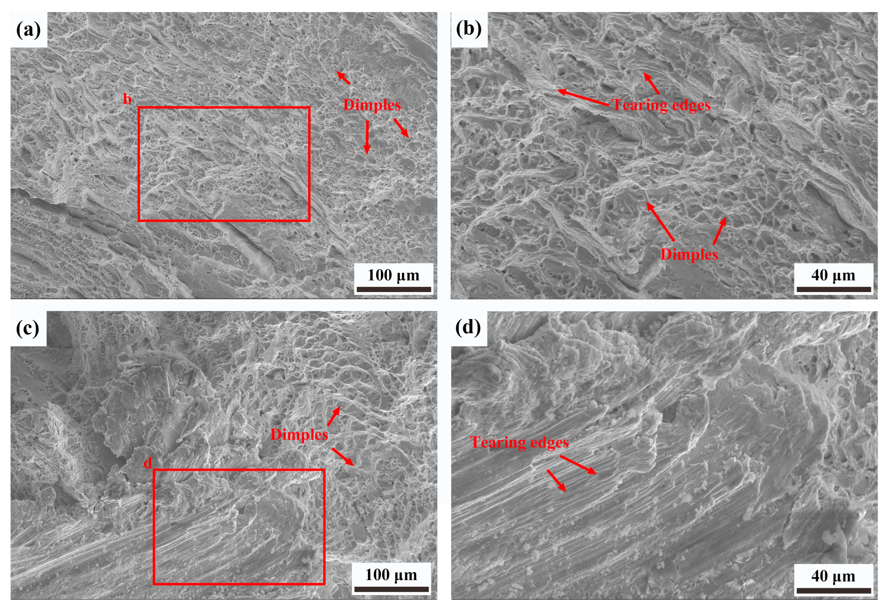 Crystals 15 00916 g008