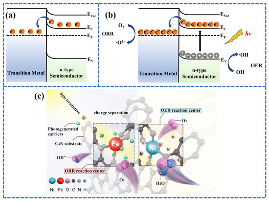 ミッドレングス　7,6 Advanced VX (AVX) 8