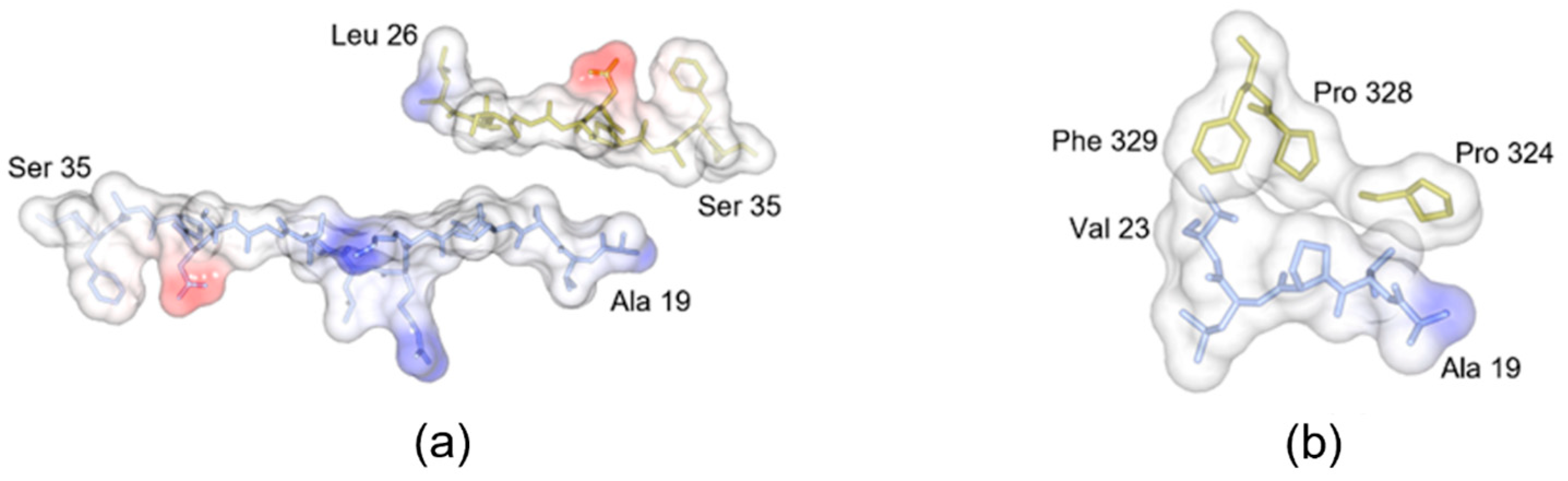 Crystals 15 00927 g002 Crystals 15 00927 g002