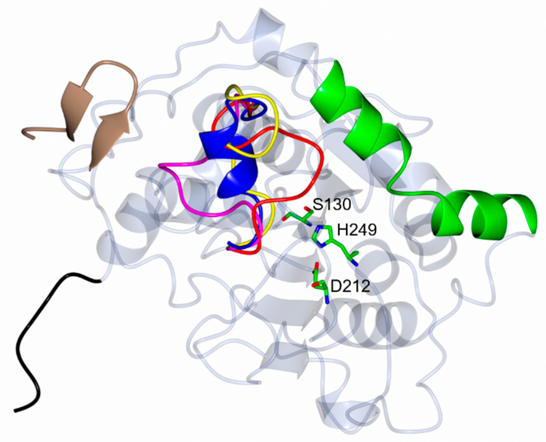 Crystals 15 00927 g003 Crystals 15 00927 g003
