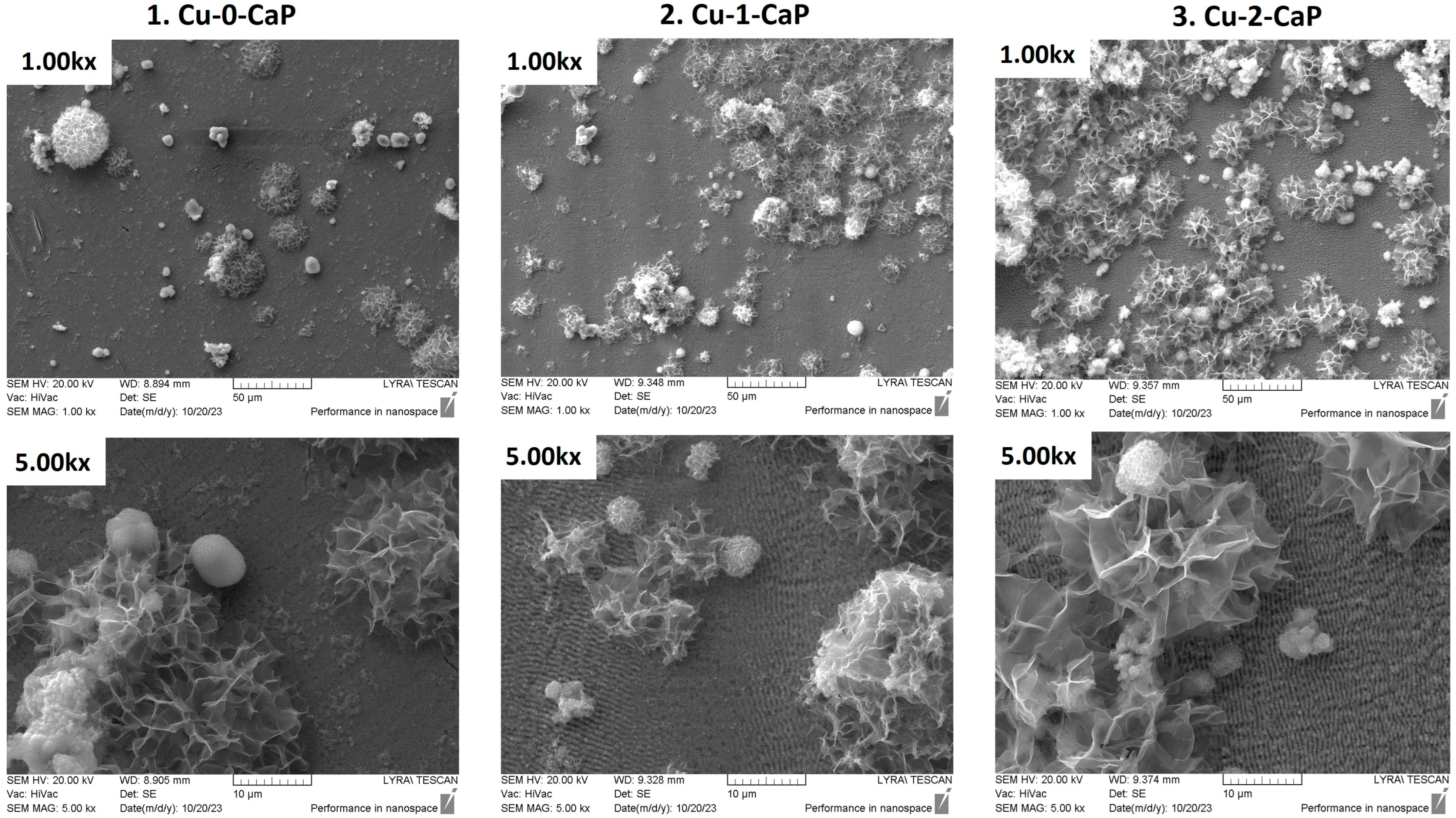 Crystals 15 00954 g001 Crystals 15 00954 g001