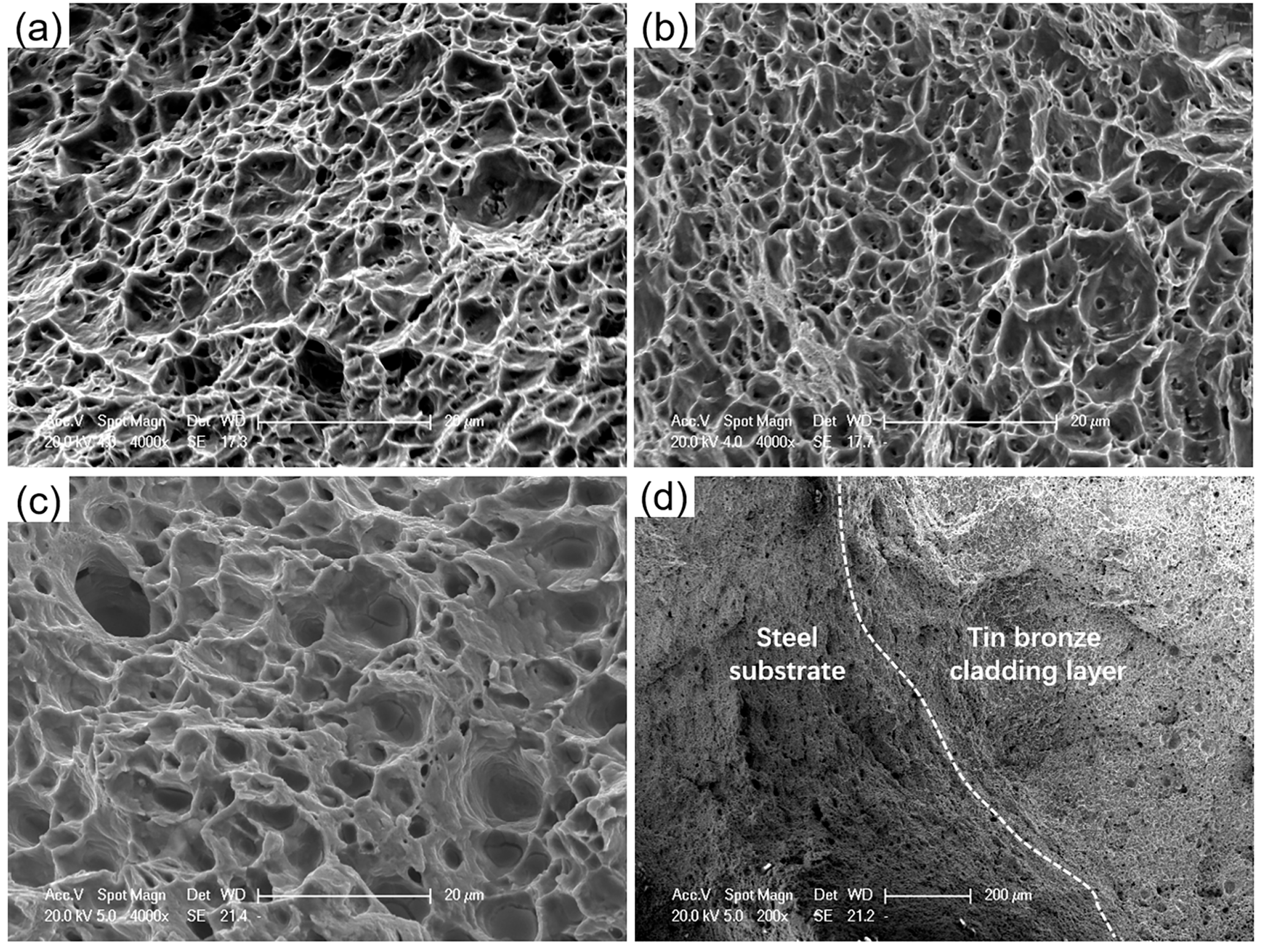 Crystals 15 00961 g007