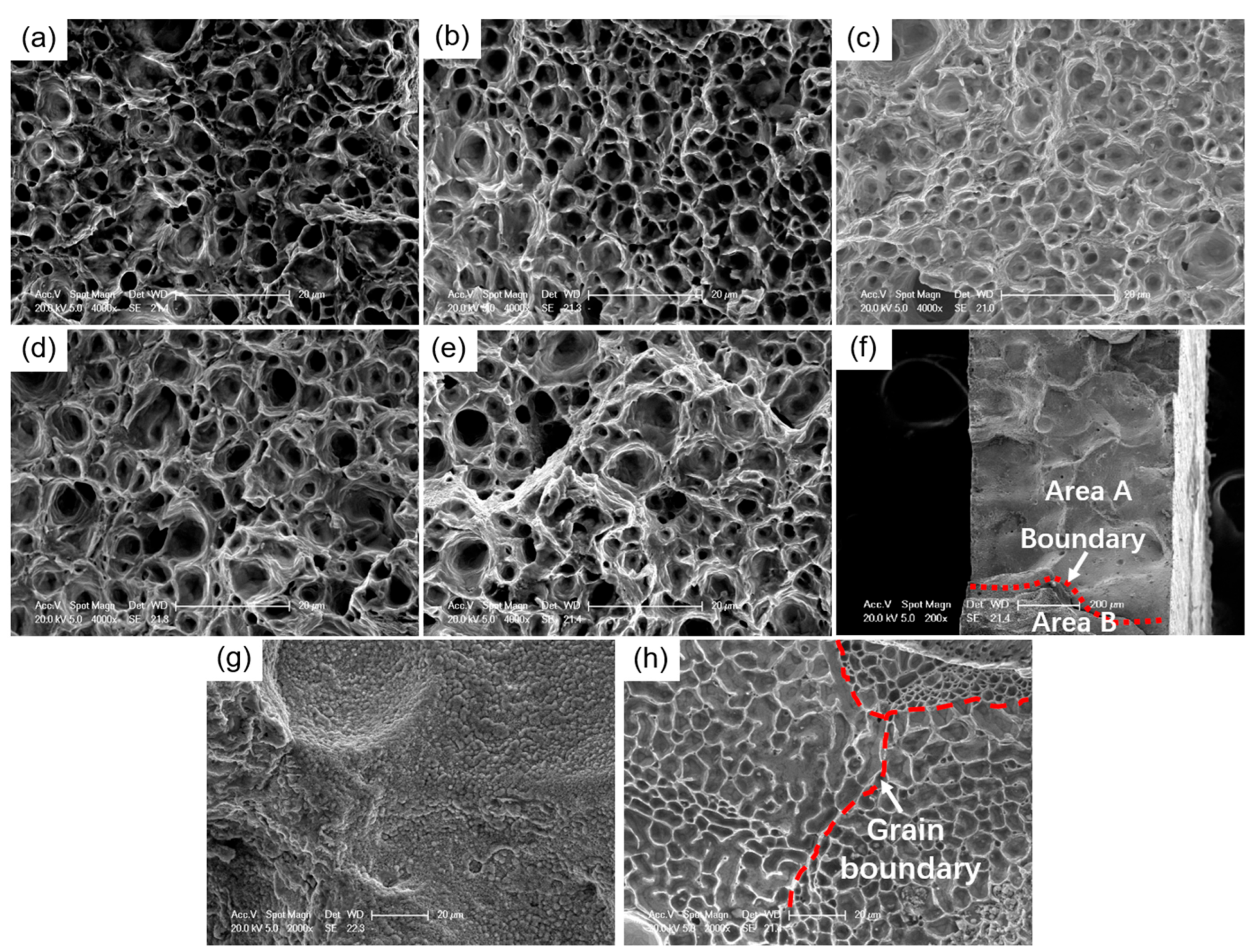 Crystals 15 00961 g014