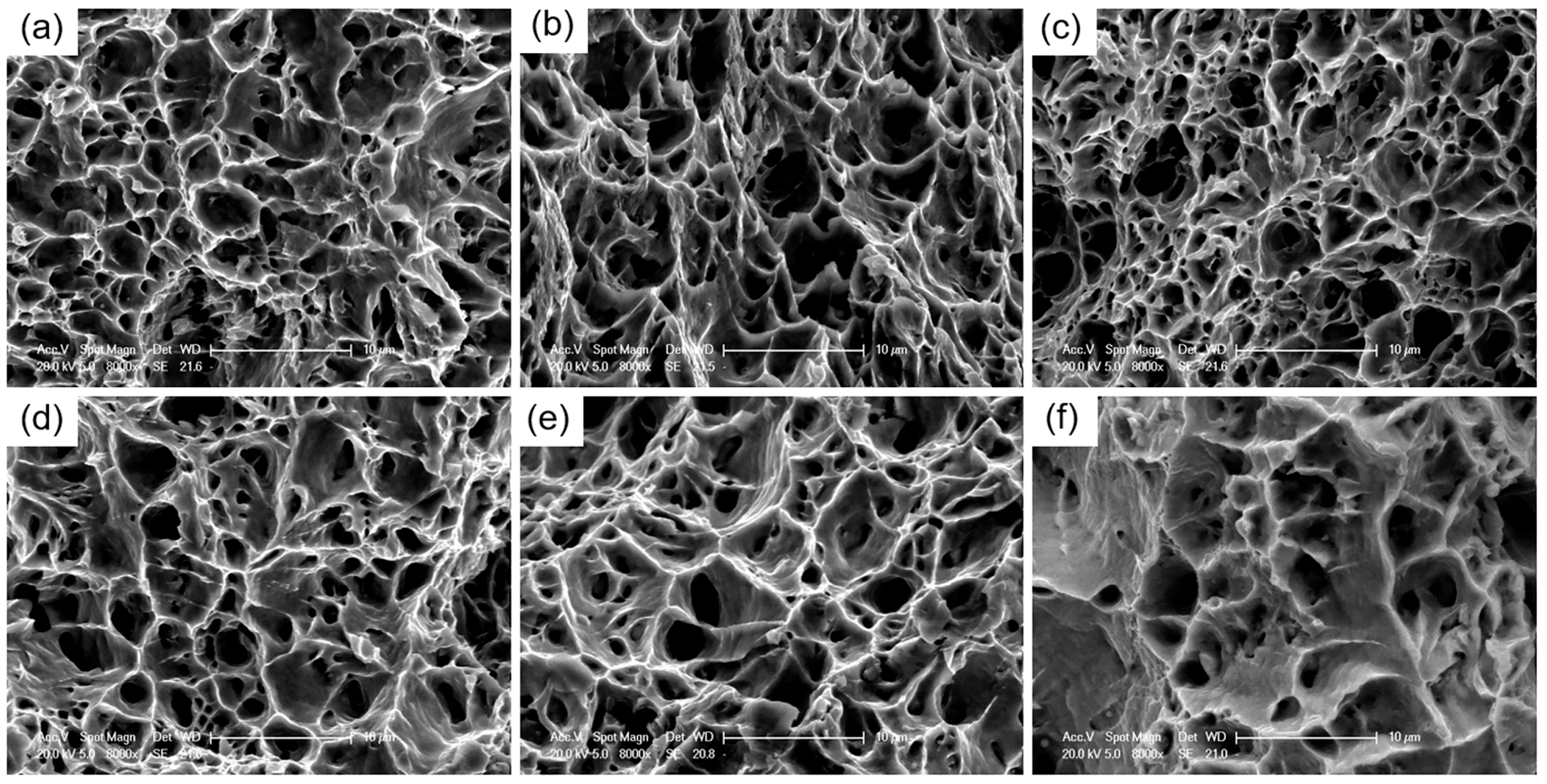 Crystals 15 00961 g015