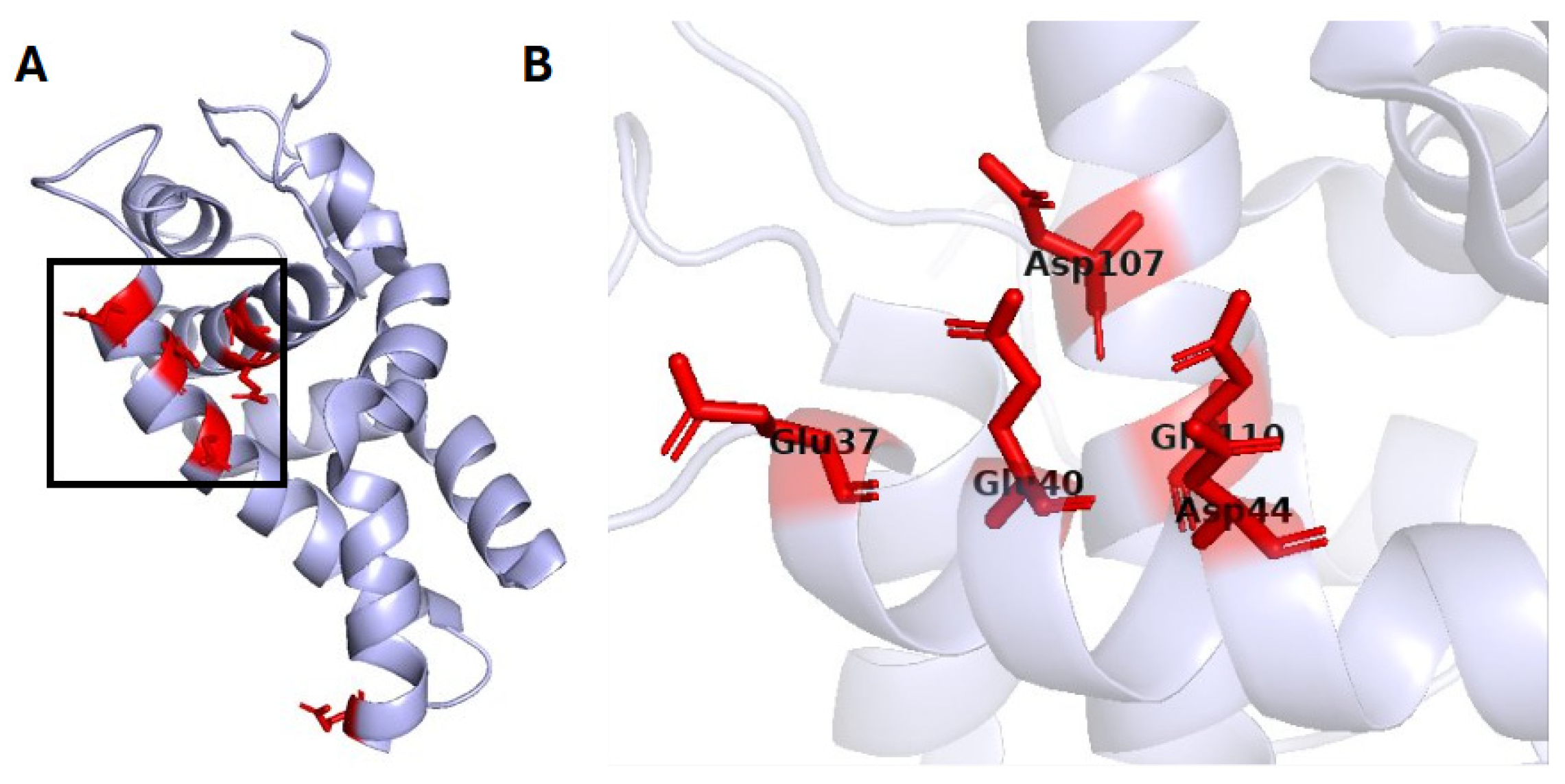 Crystals 15 00966 g007 Crystals 15 00966 g007