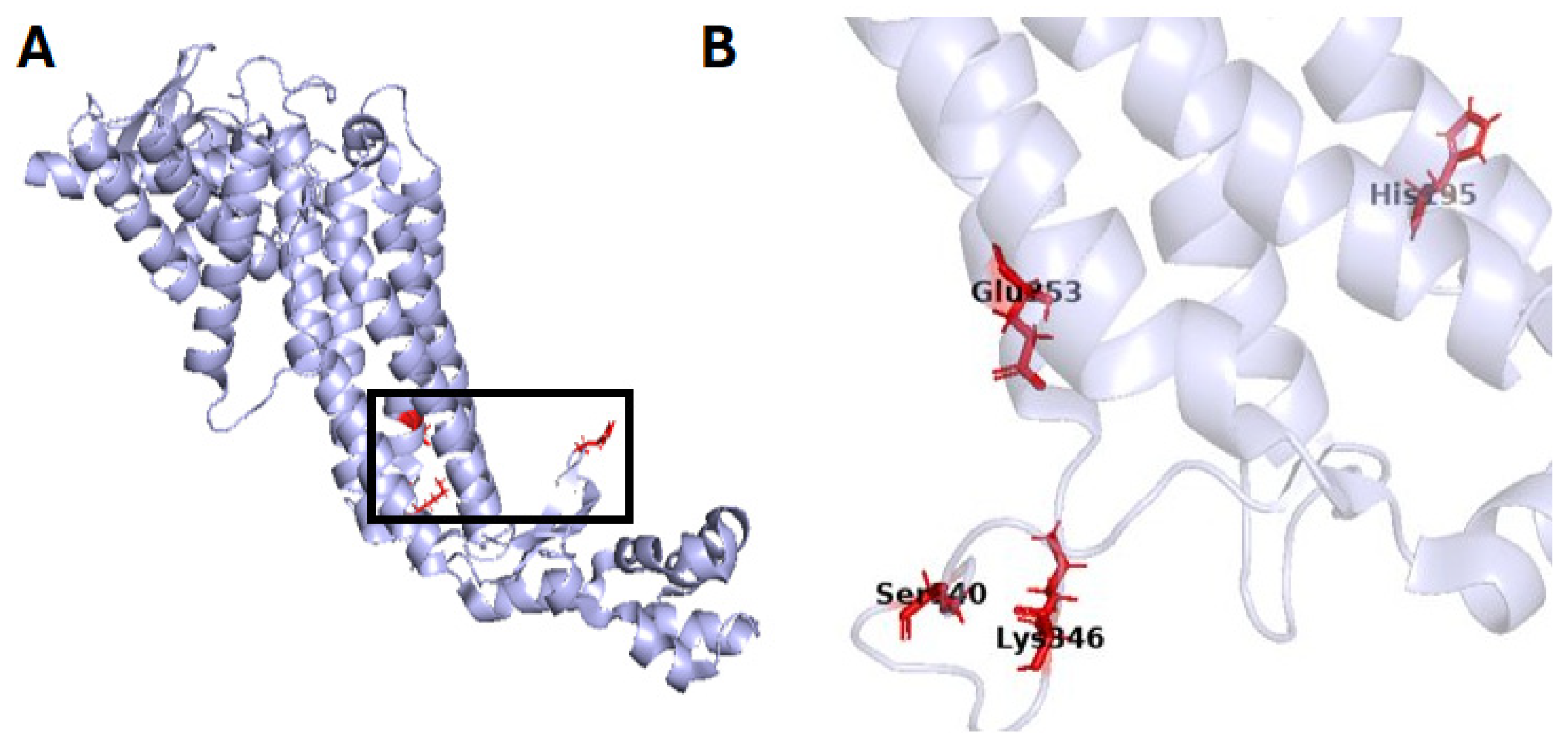 Crystals 15 00966 g008 Crystals 15 00966 g008