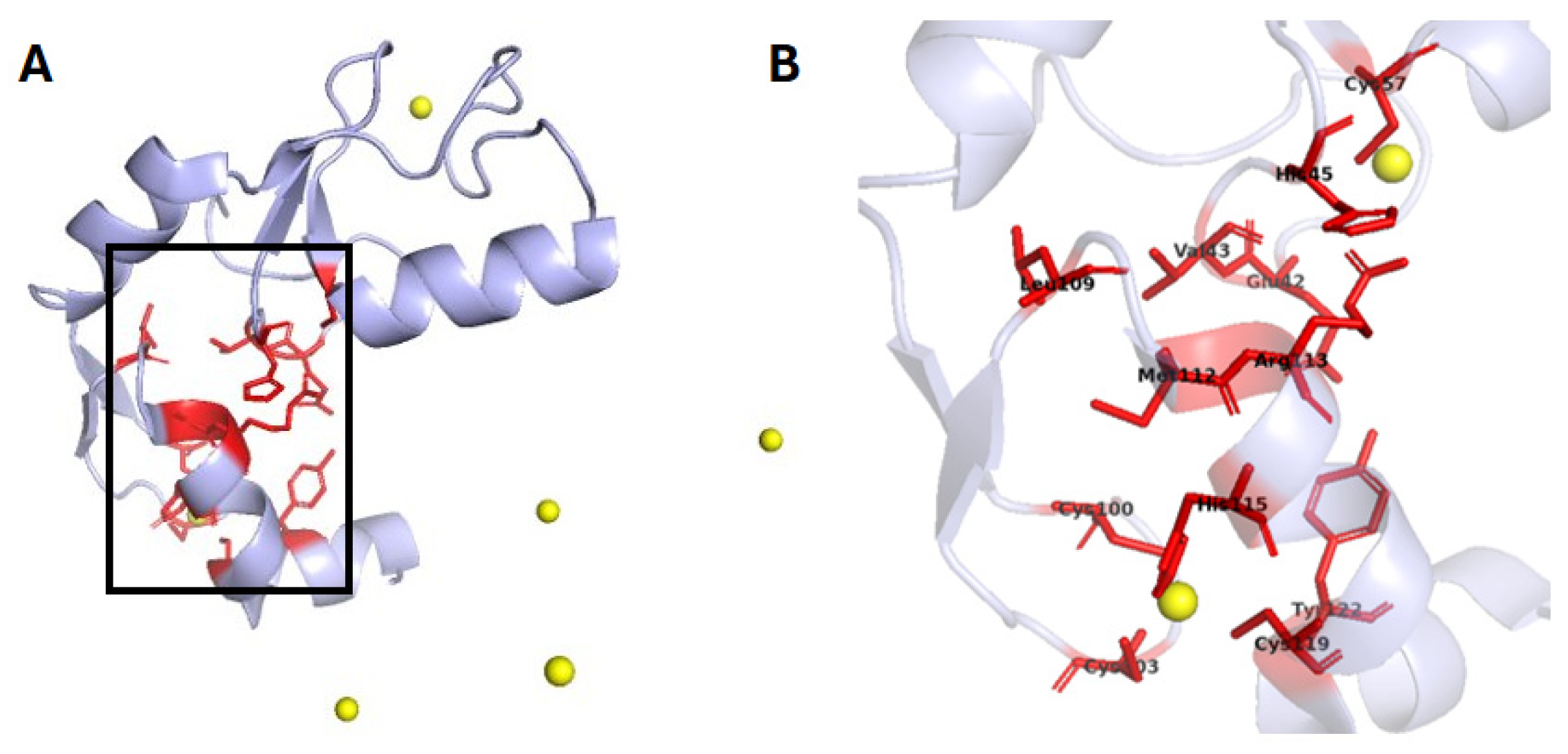 Crystals 15 00966 g010 Crystals 15 00966 g010