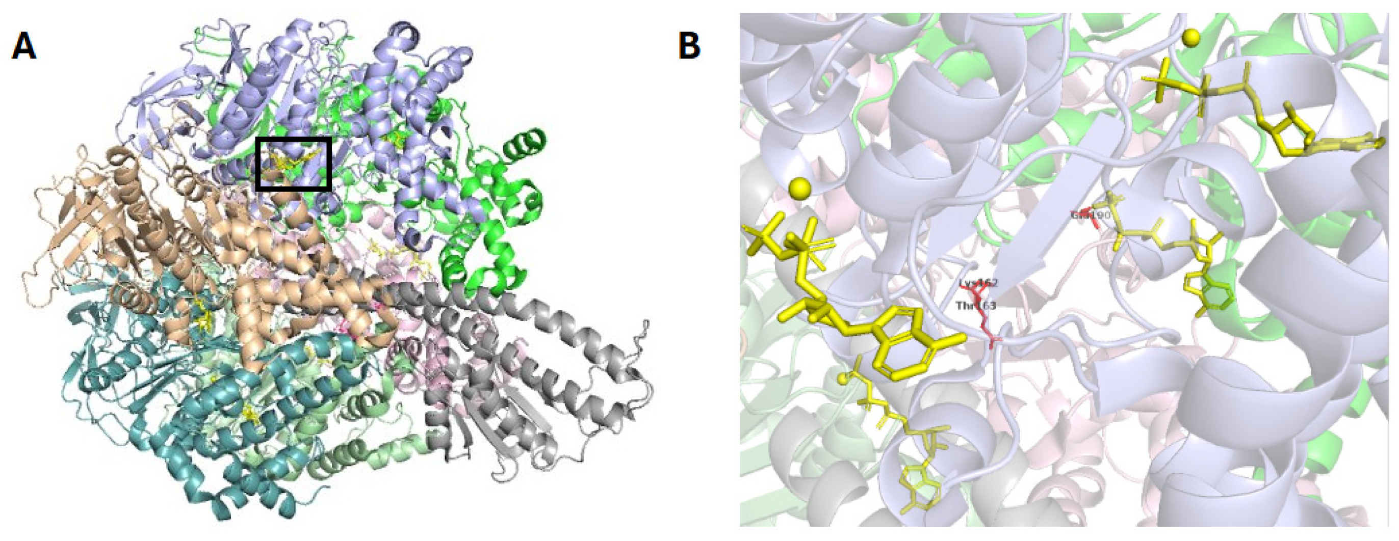 Crystals 15 00966 g011 Crystals 15 00966 g011