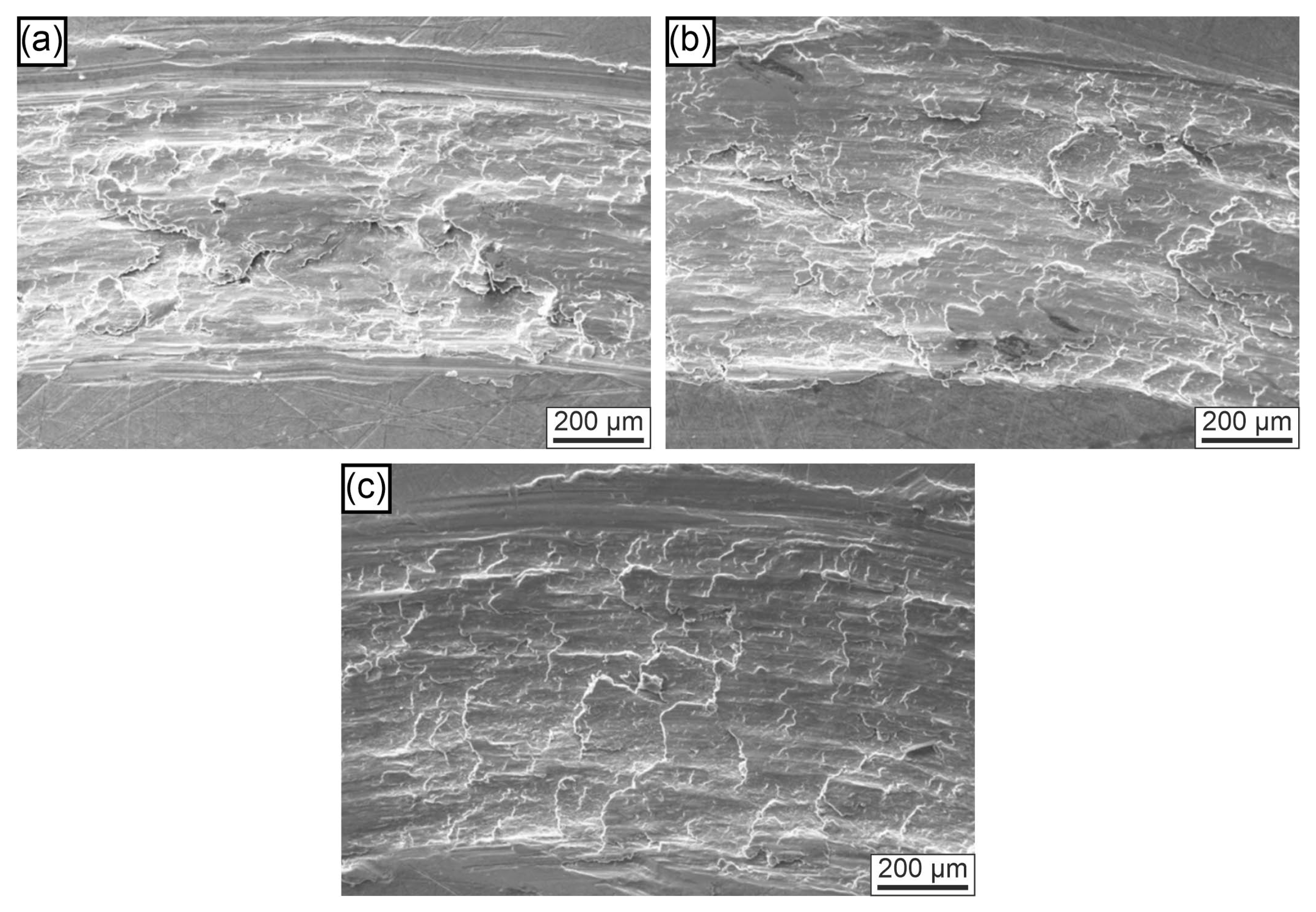 Crystals 15 00971 g008