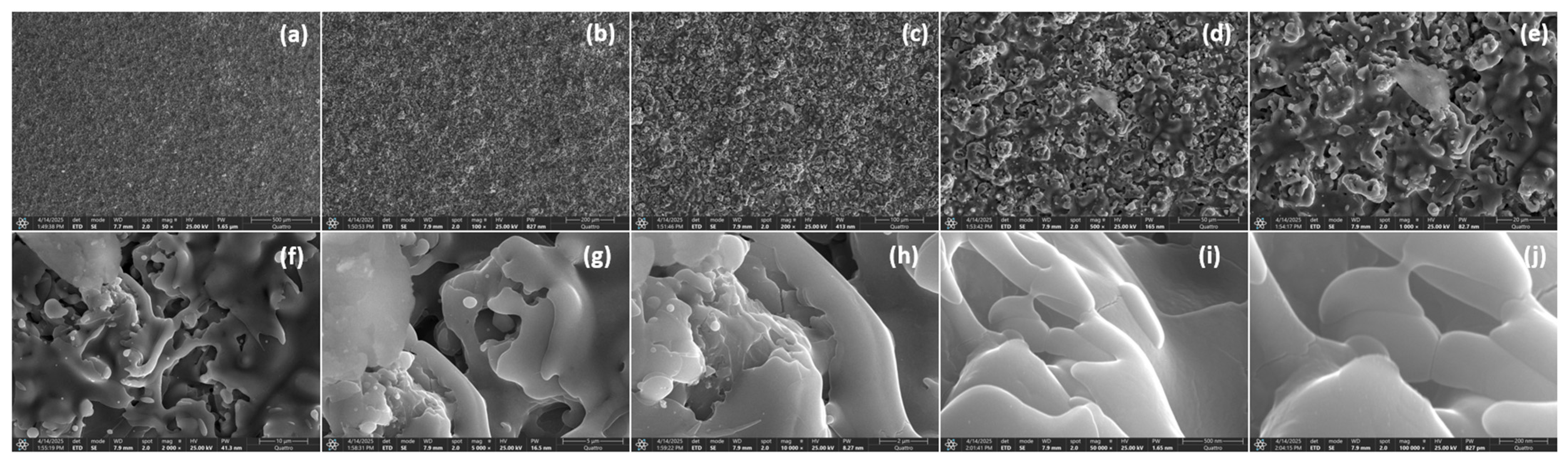 Crystals 15 00977 g007