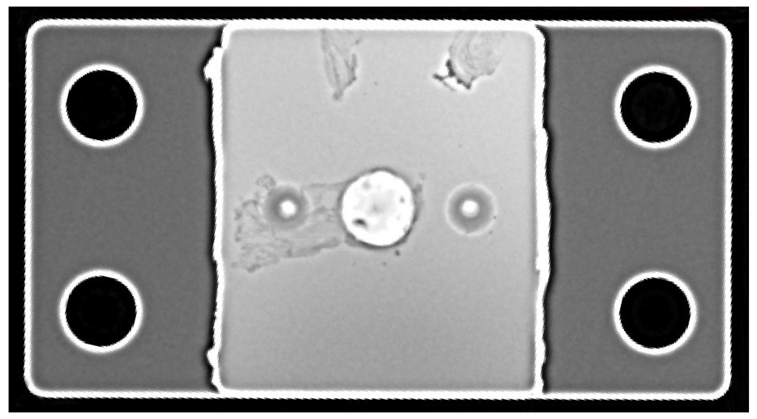 Crystals 15 01001 g008