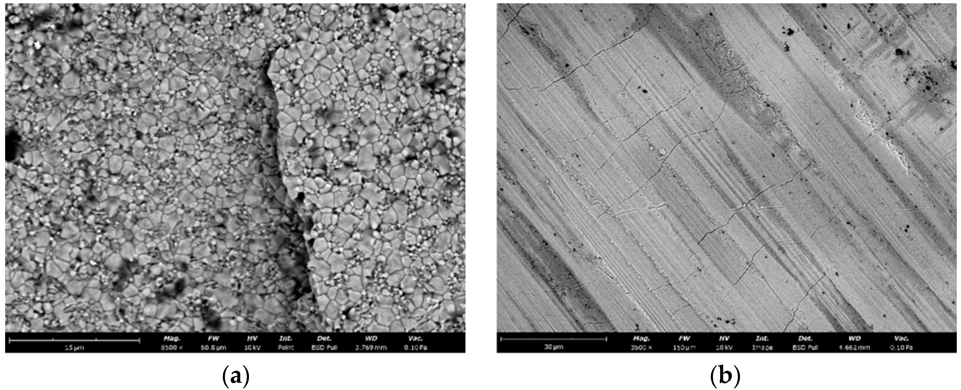 Crystals 15 01002 g010