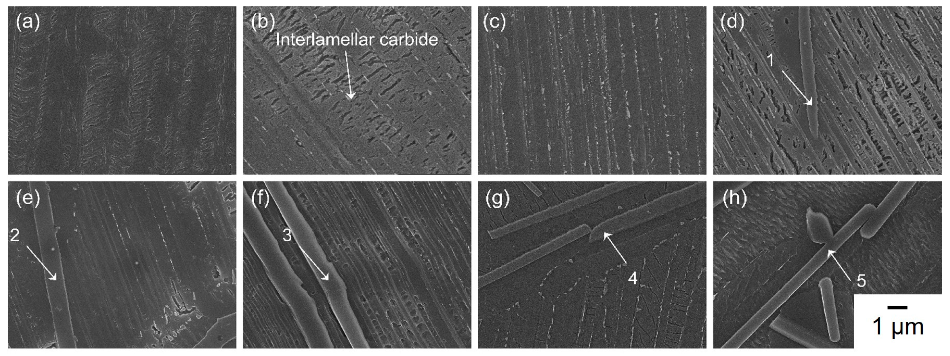 Crystals 15 01006 g006 Crystals 15 01006 g006