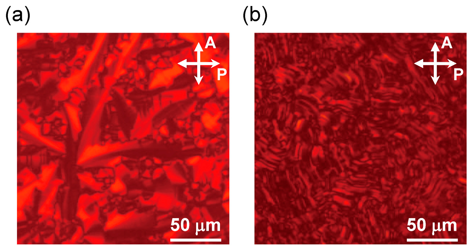 Crystals 15 01021 g003 Crystals 15 01021 g003