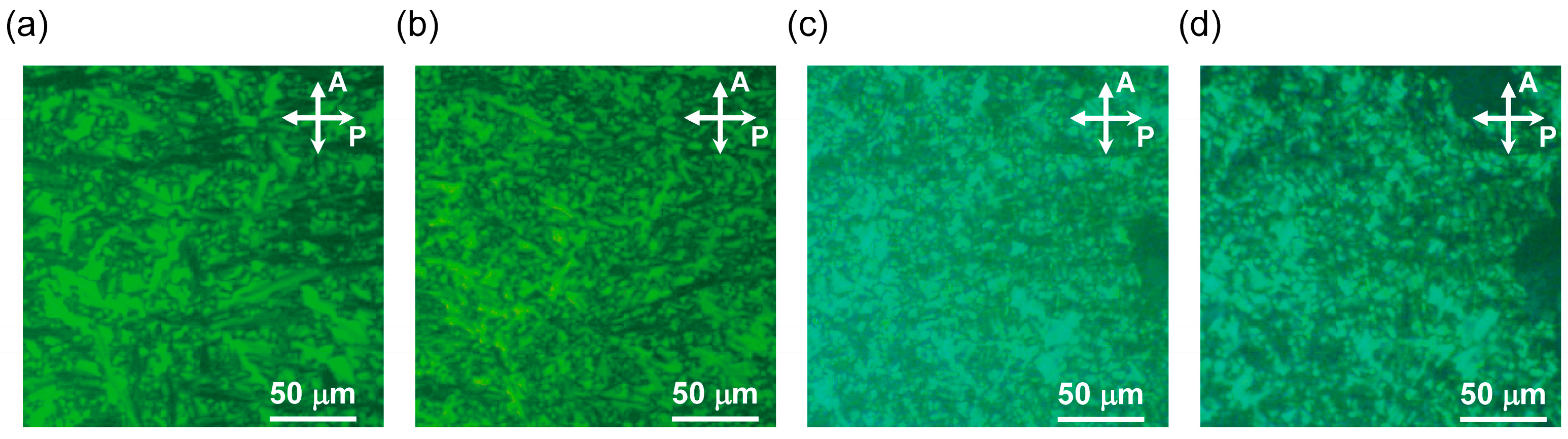 Crystals 15 01021 g005 Crystals 15 01021 g005