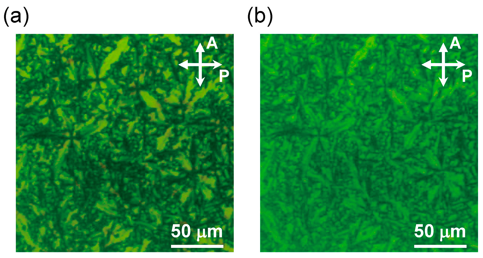 Crystals 15 01021 g006 Crystals 15 01021 g006