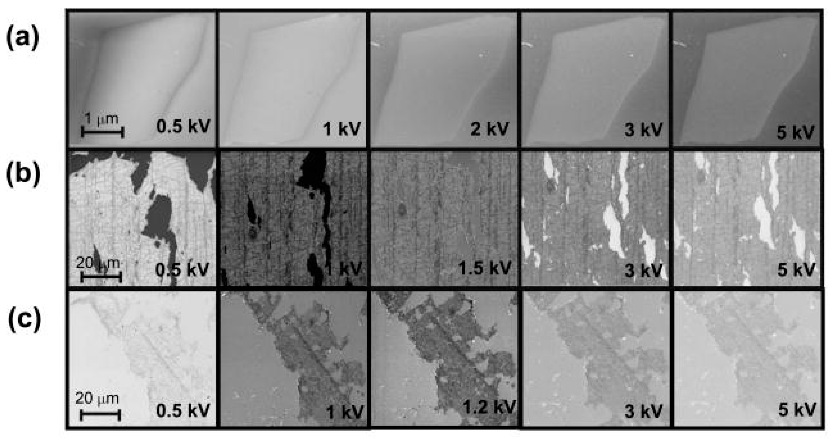Crystals 15 01025 g005