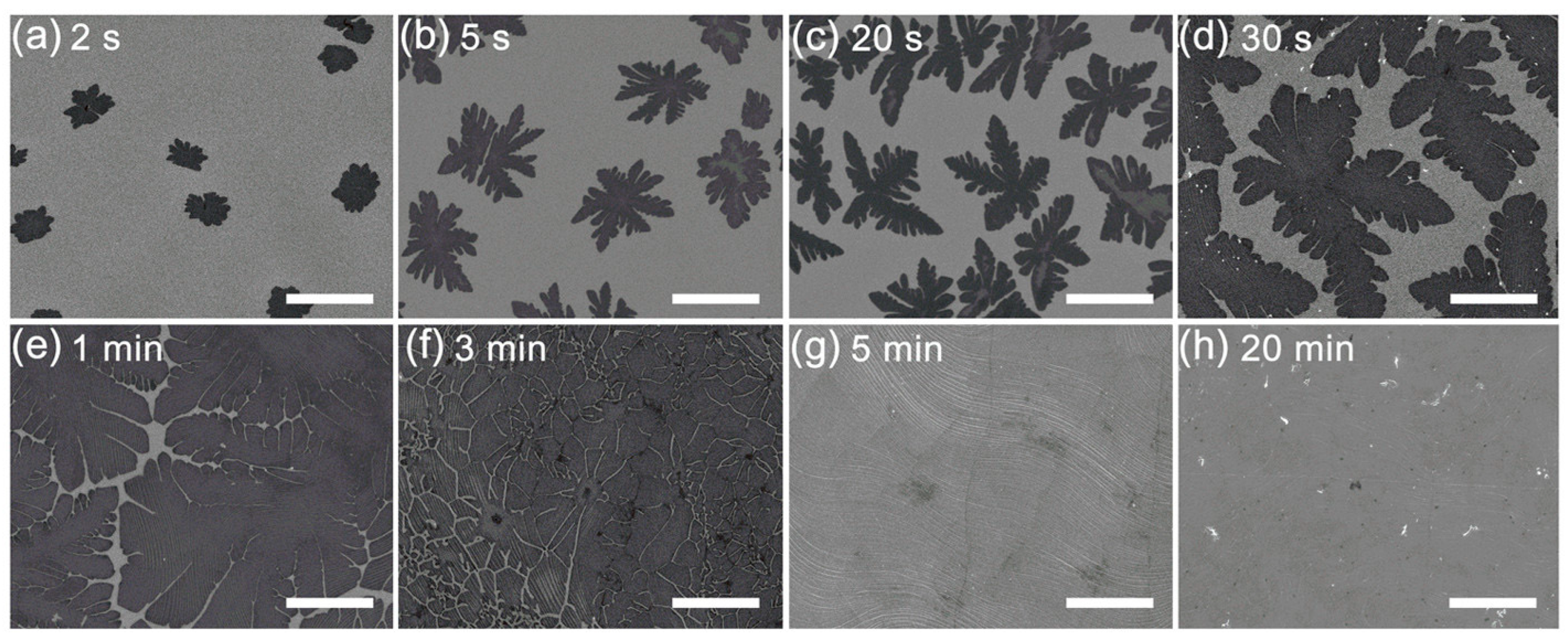 Crystals 15 01025 g006