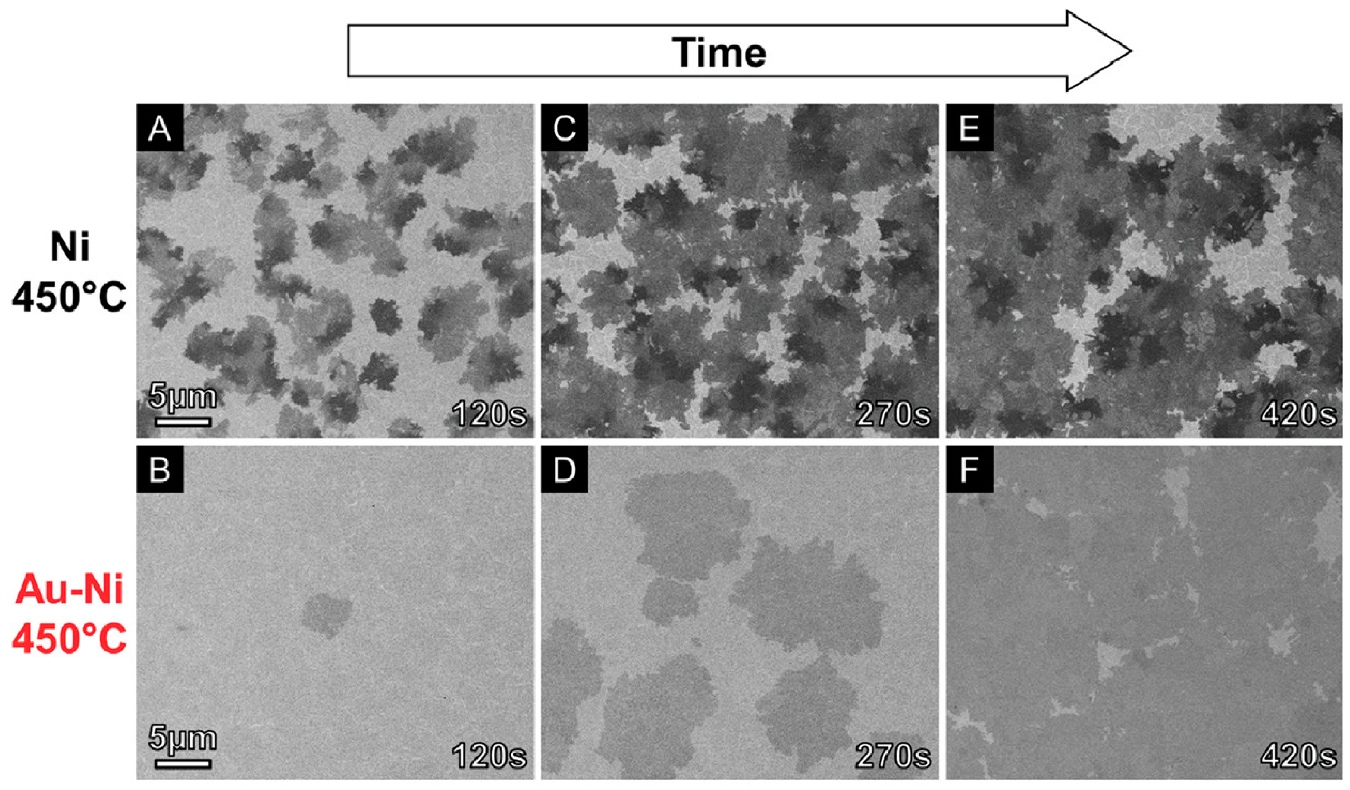 Crystals 15 01025 g009