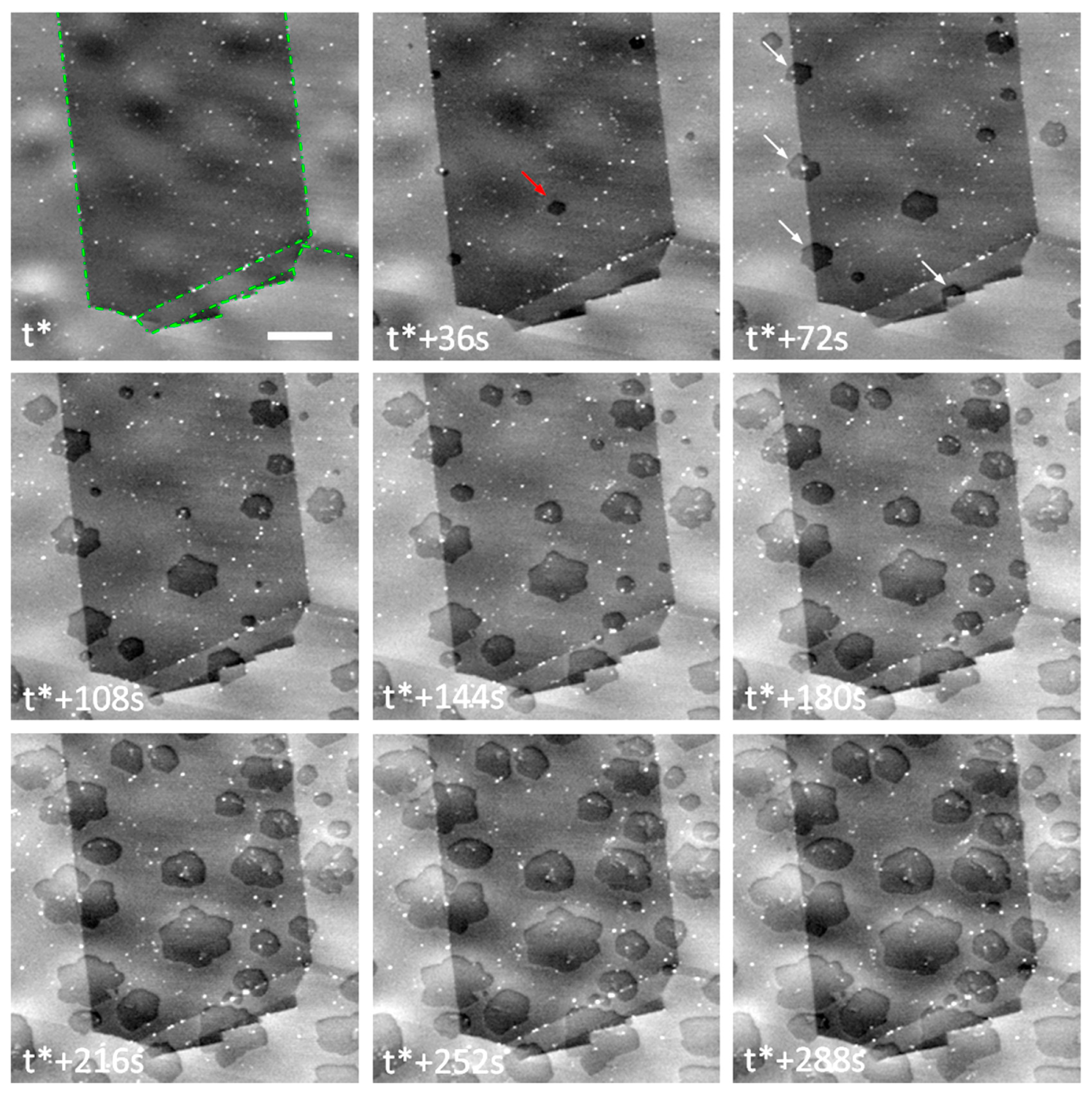 Crystals 15 01025 g015