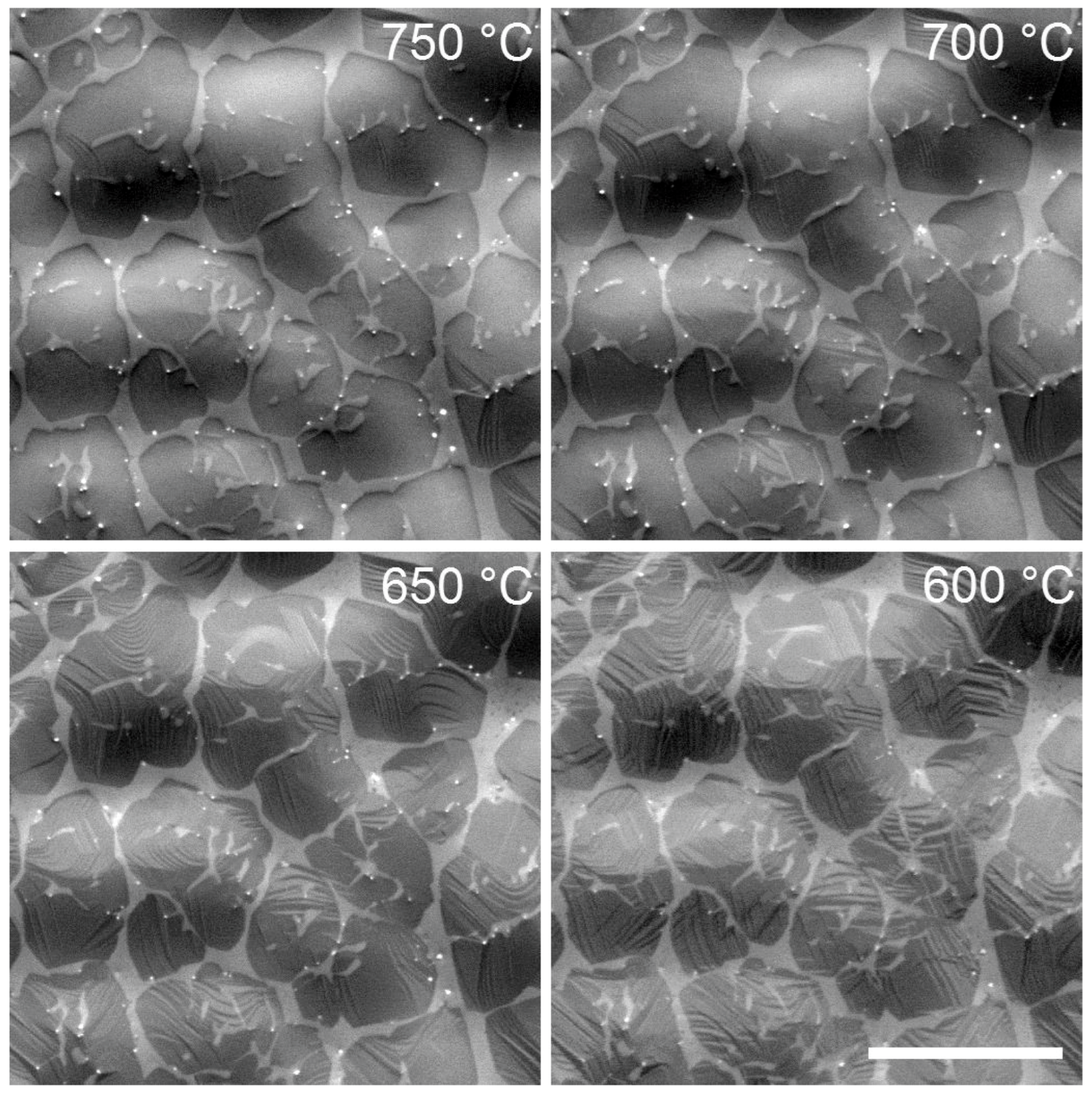 Crystals 15 01025 g016