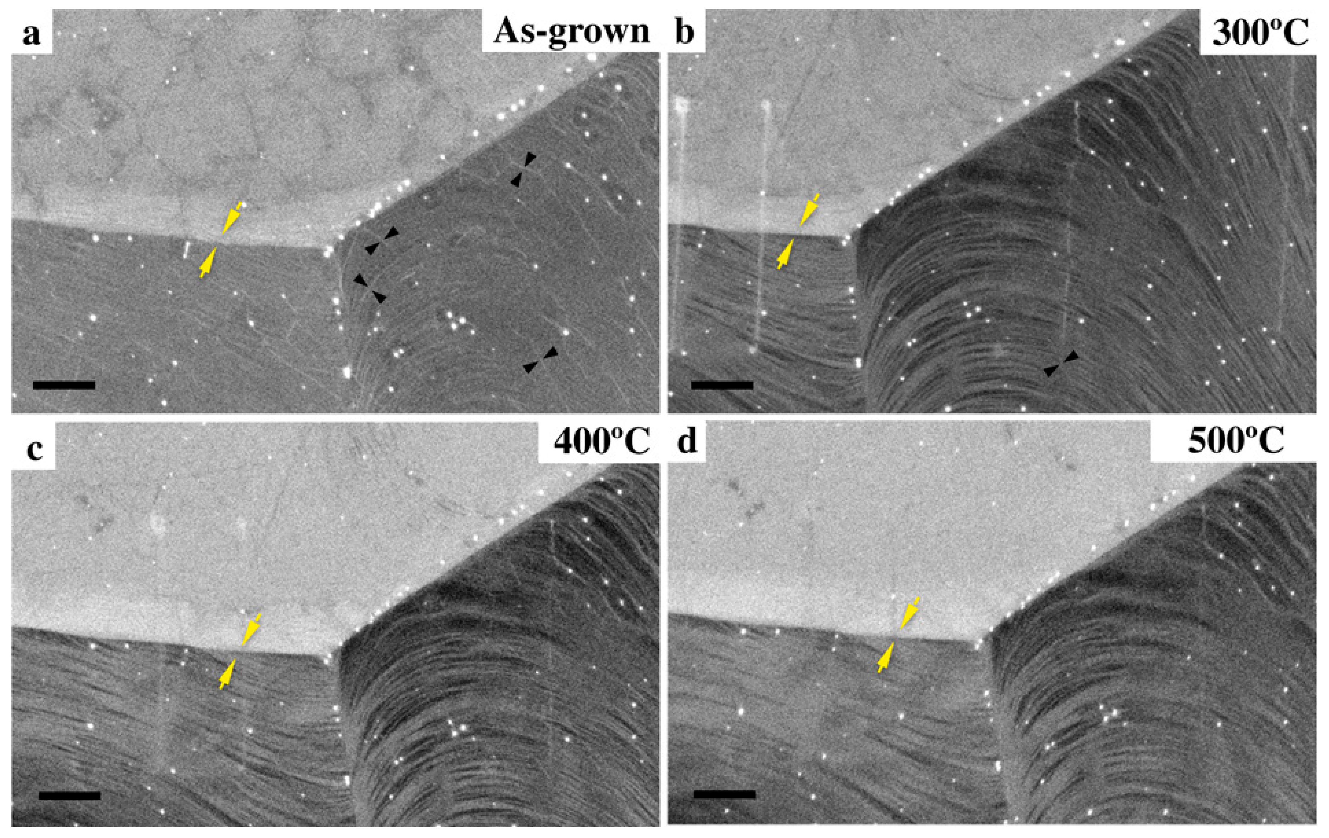 Crystals 15 01025 g020