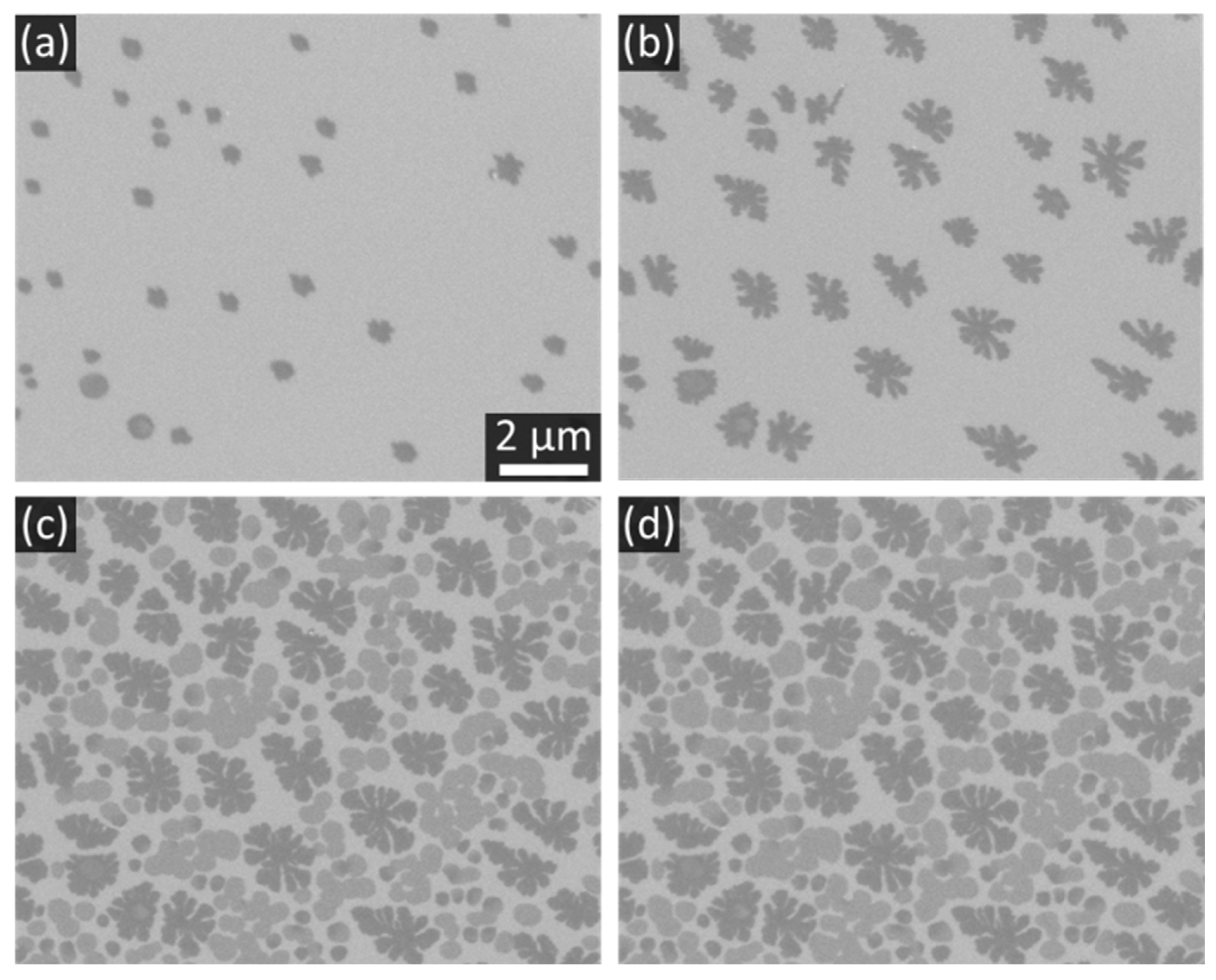 Crystals 15 01025 g021