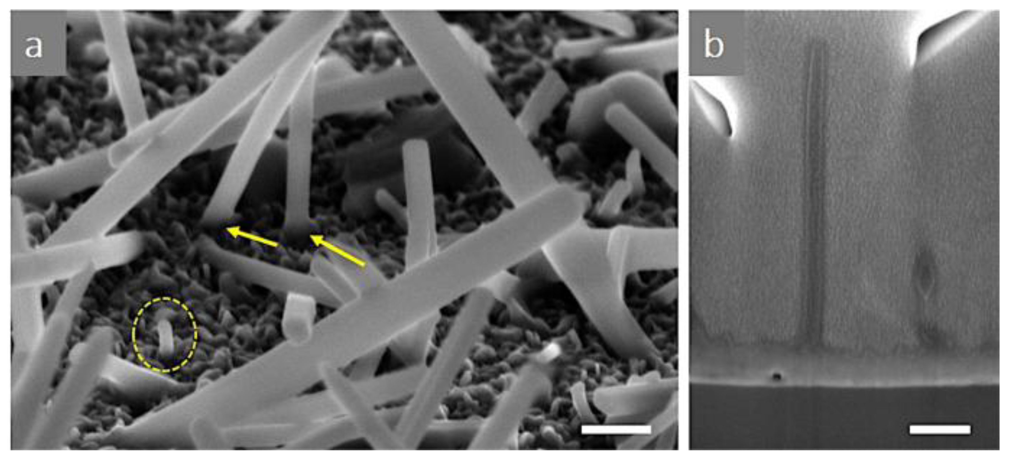 Crystals 15 01037 g006