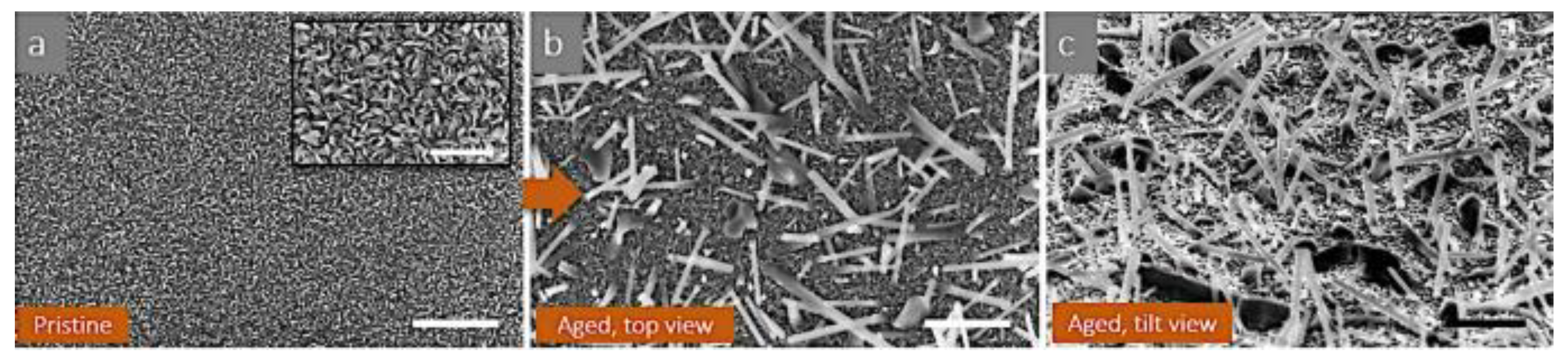 Crystals 15 01037 g007