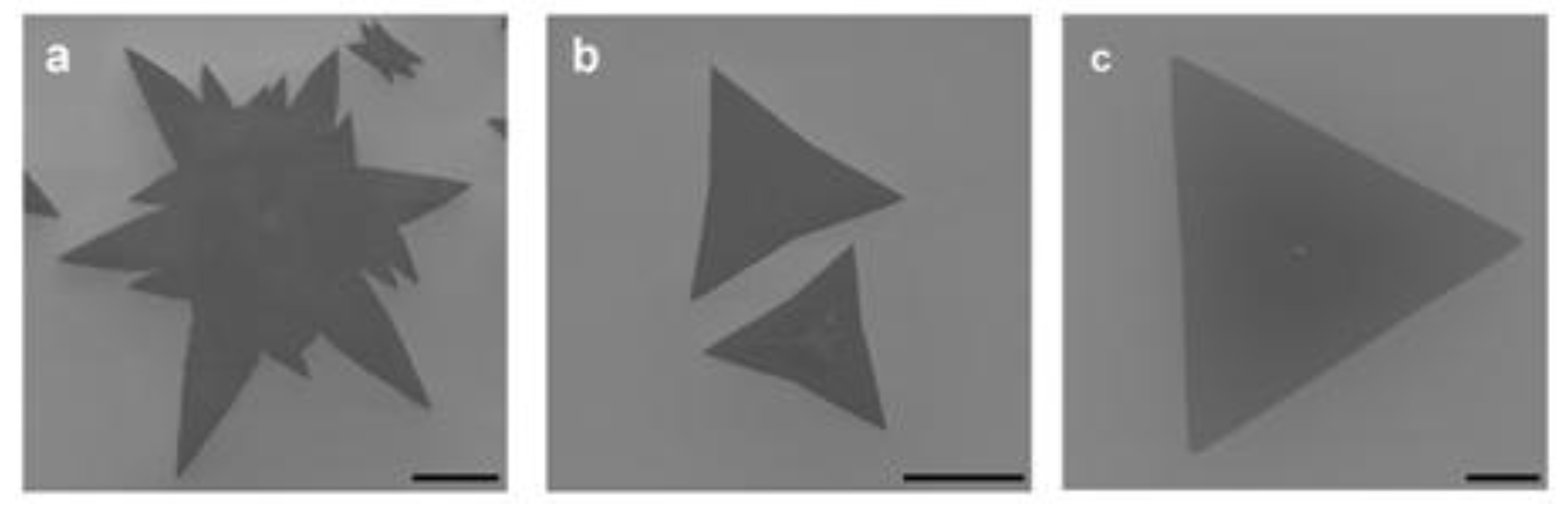 Crystals 15 01037 g010