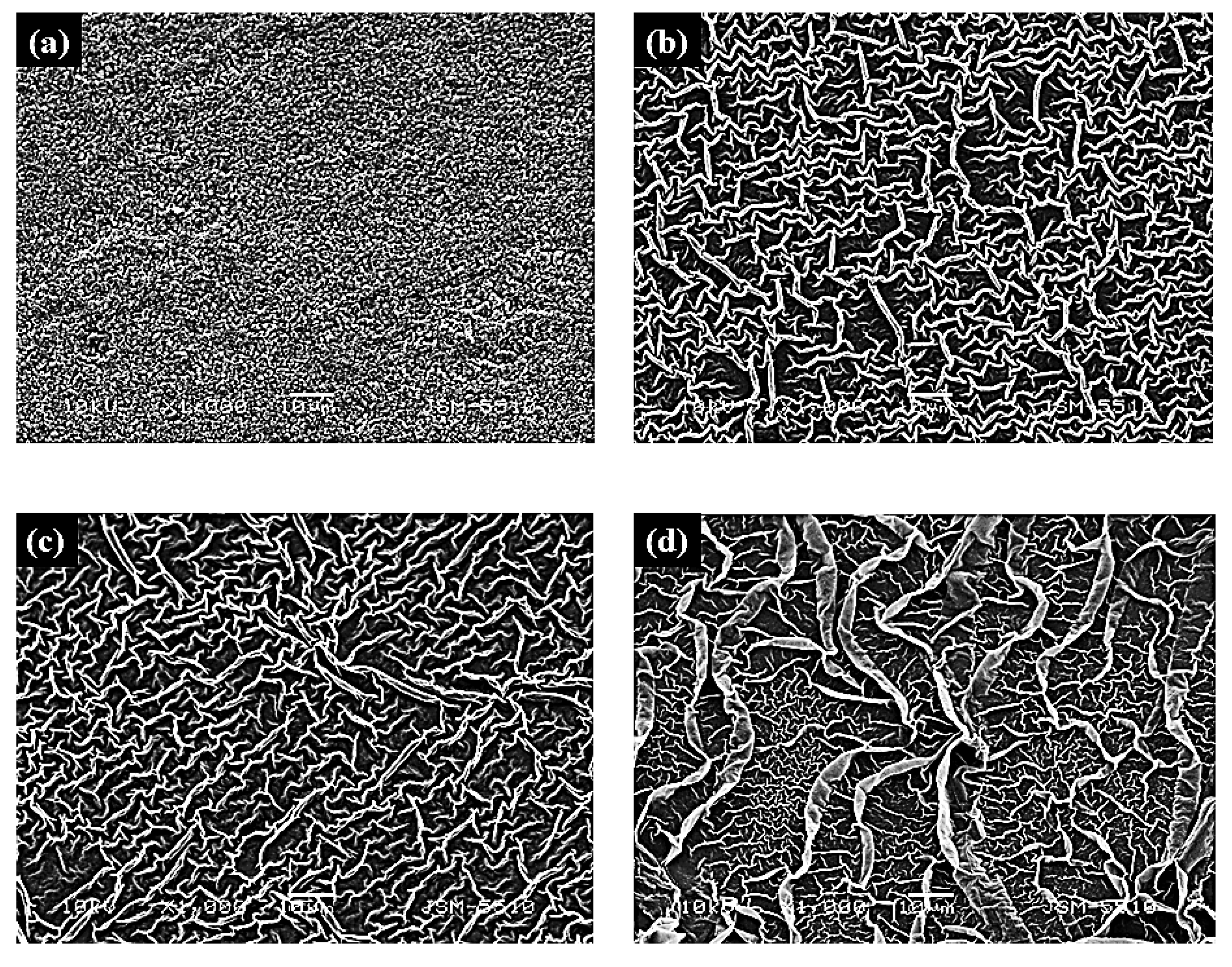 Crystals 16 00008 g001a
