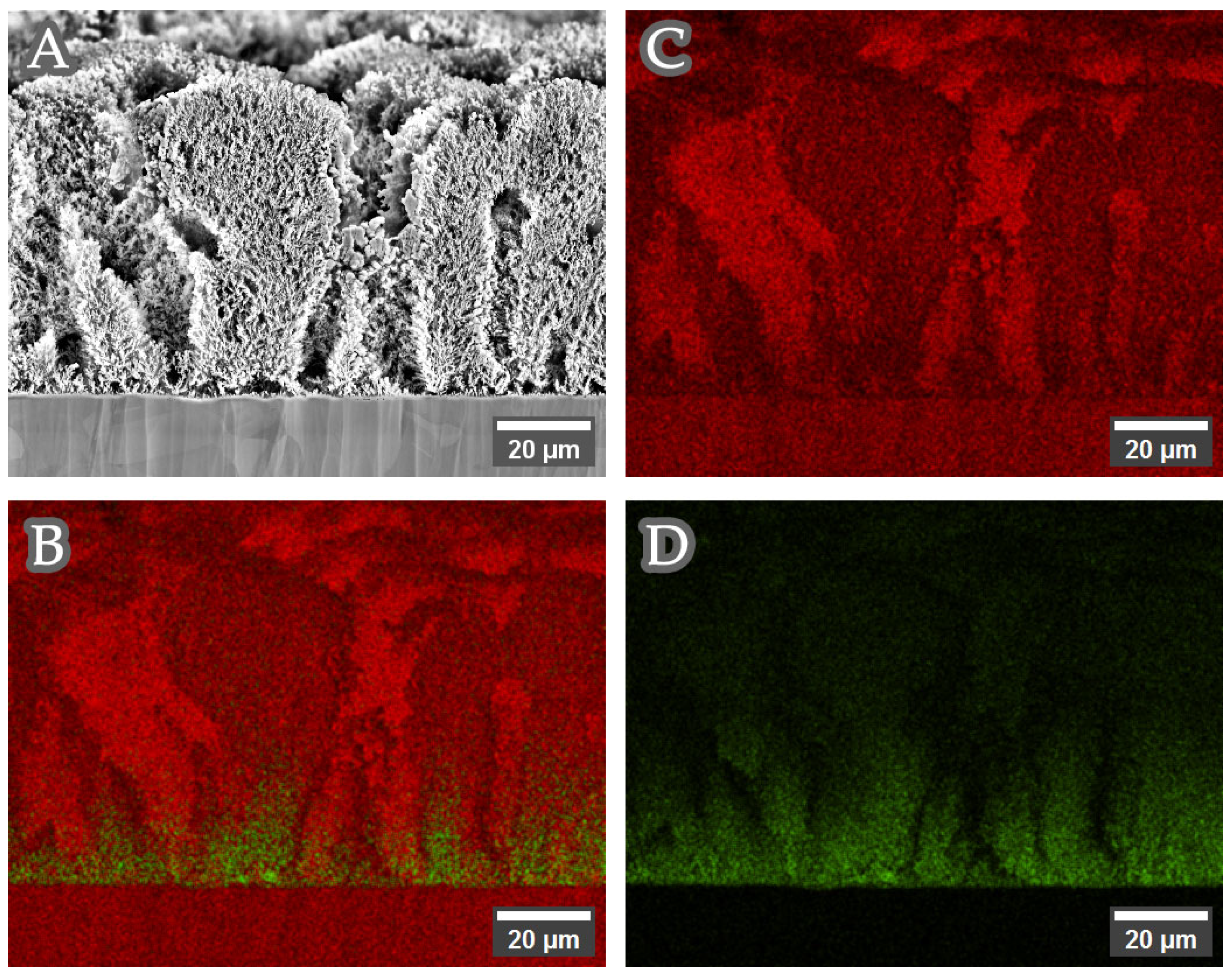Crystals 16 00020 g002