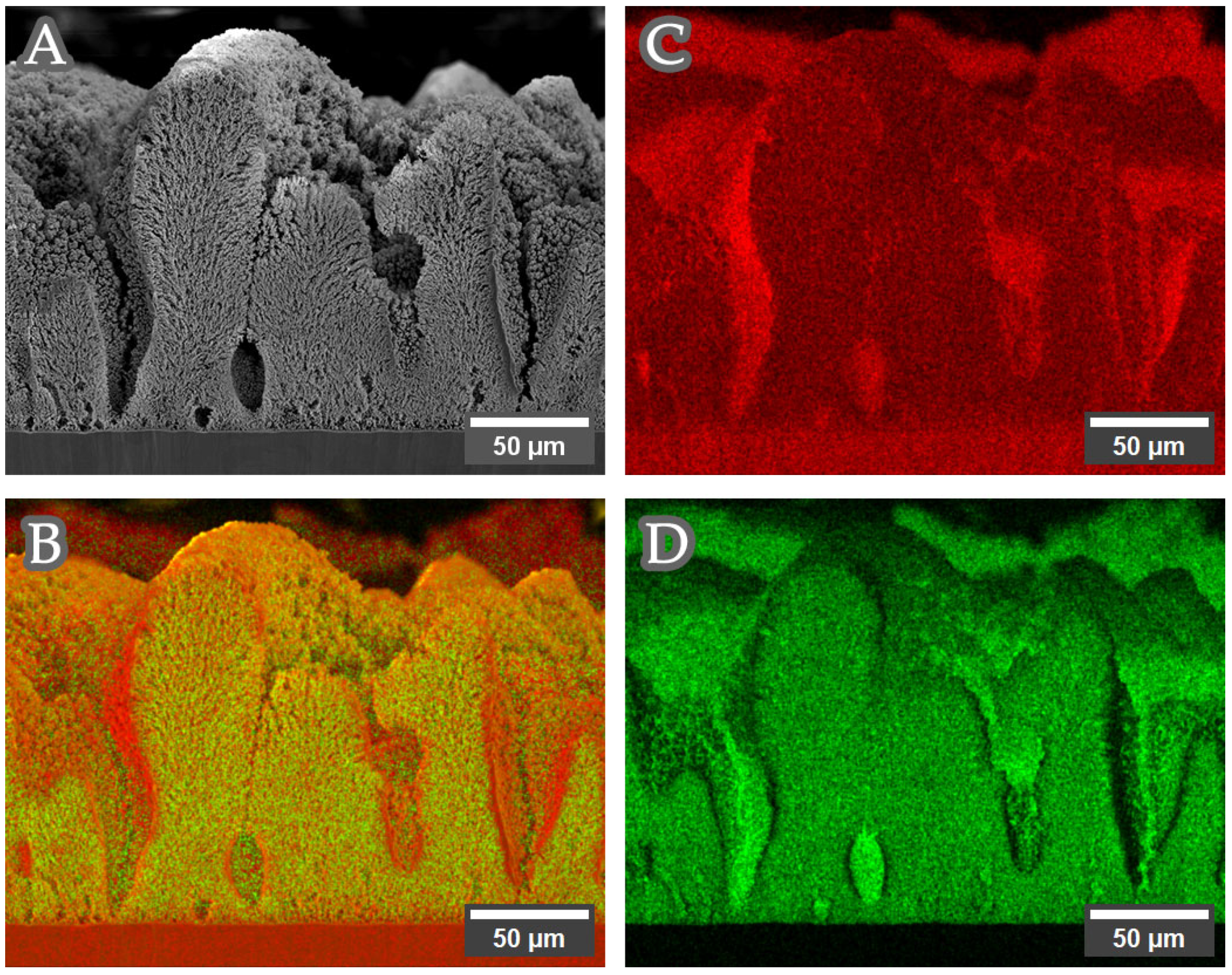 Crystals 16 00020 g007