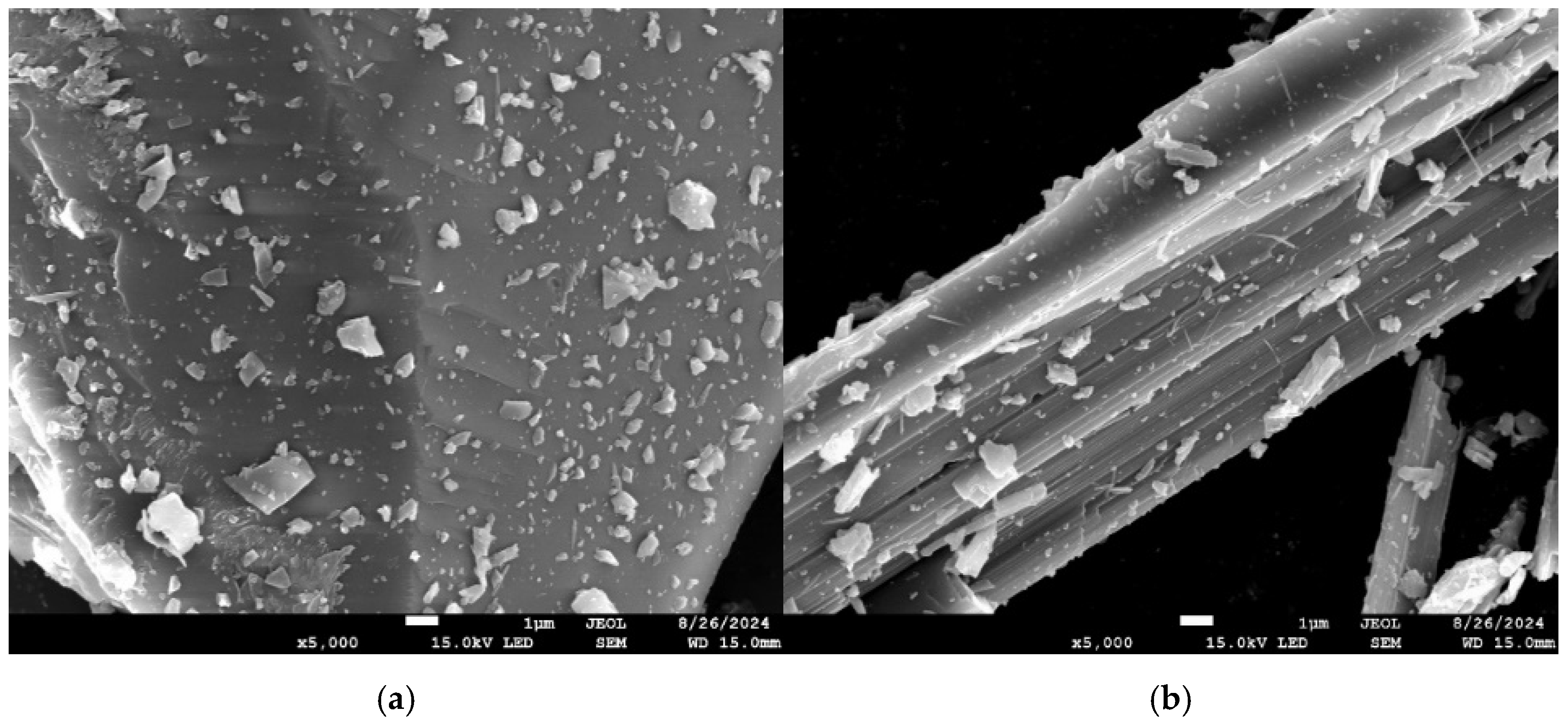 Crystals 16 00054 g007