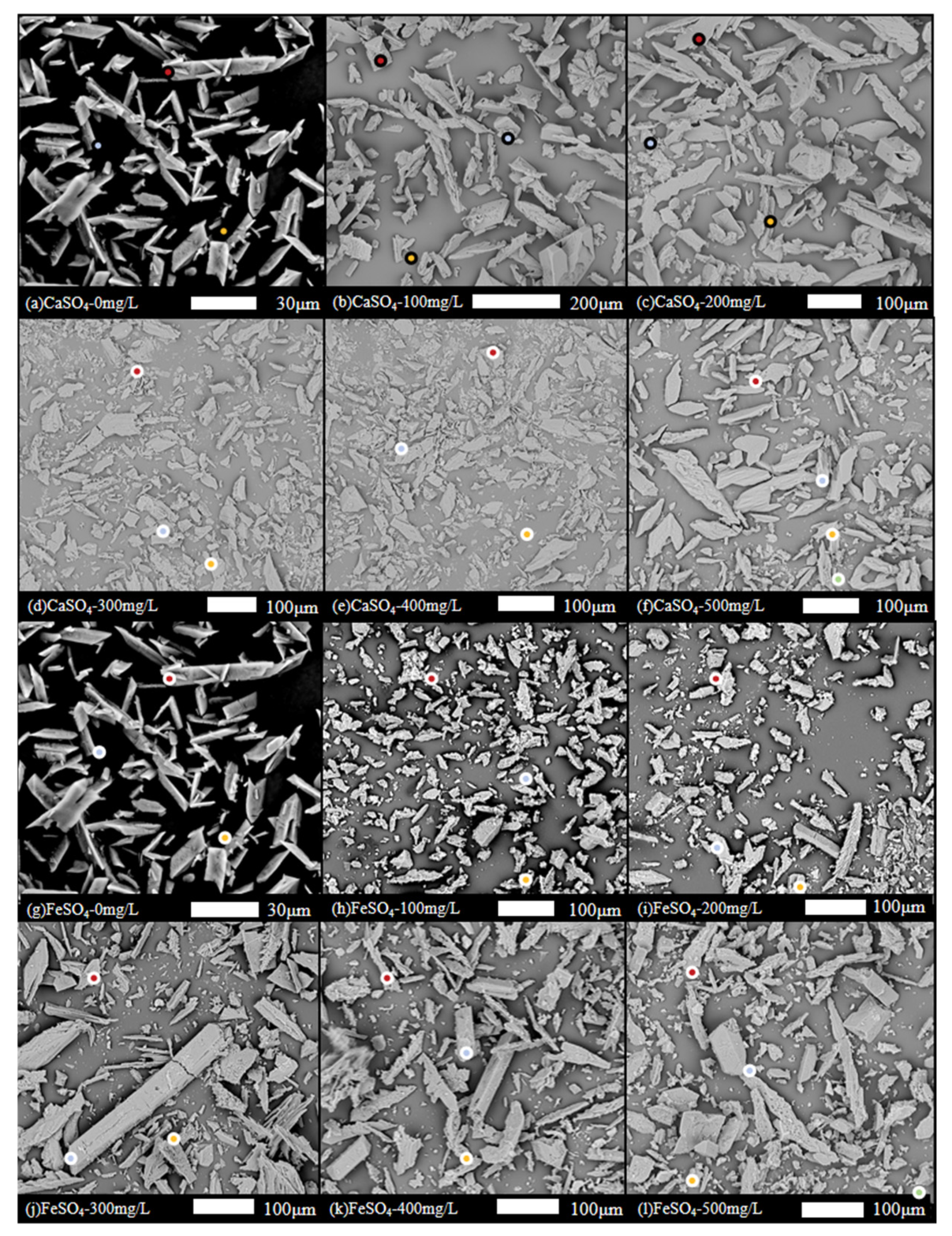 Crystals 16 00080 g006