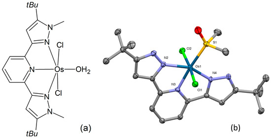 Novel Non-Arene Osmium Complexes with Anticancer Activity—A Brief