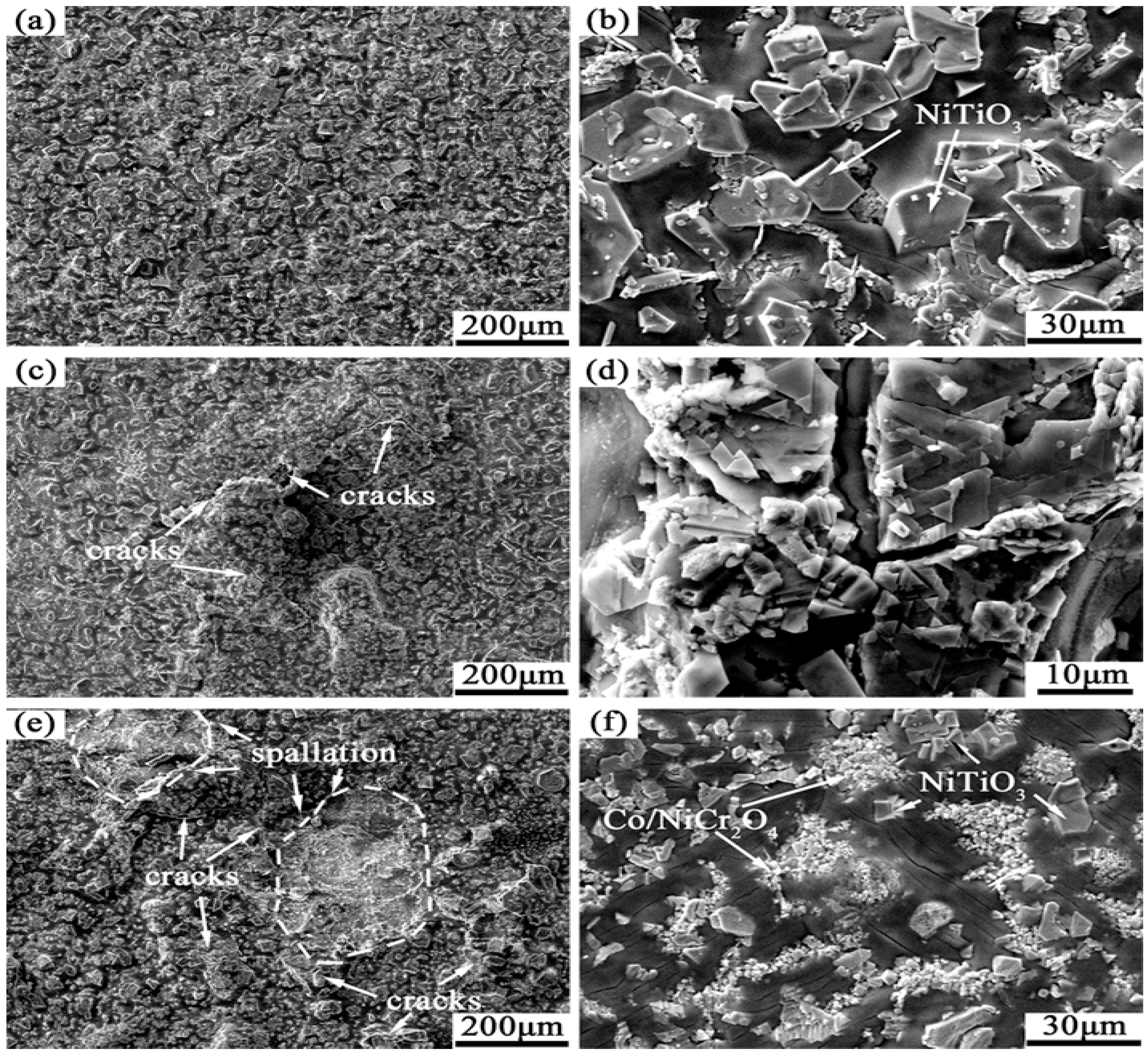 Crystals 16 00197 g005