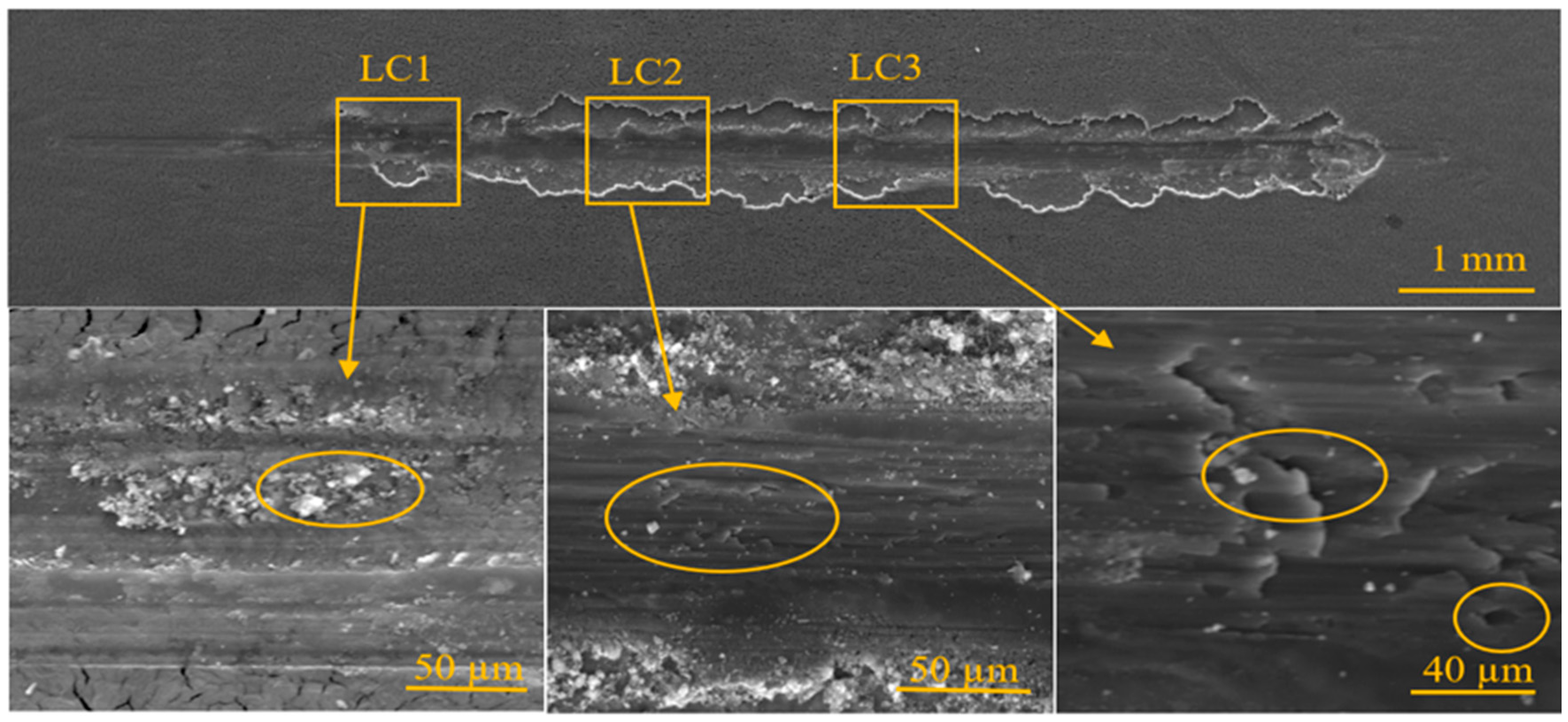 Crystals 16 00254 g009 Crystals 16 00254 g009