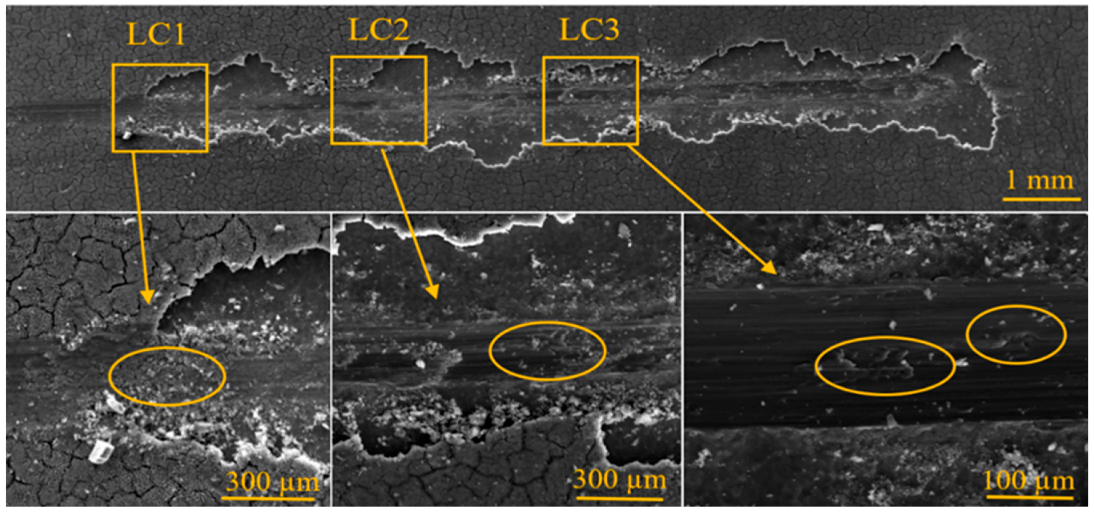 Crystals 16 00254 g010 Crystals 16 00254 g010