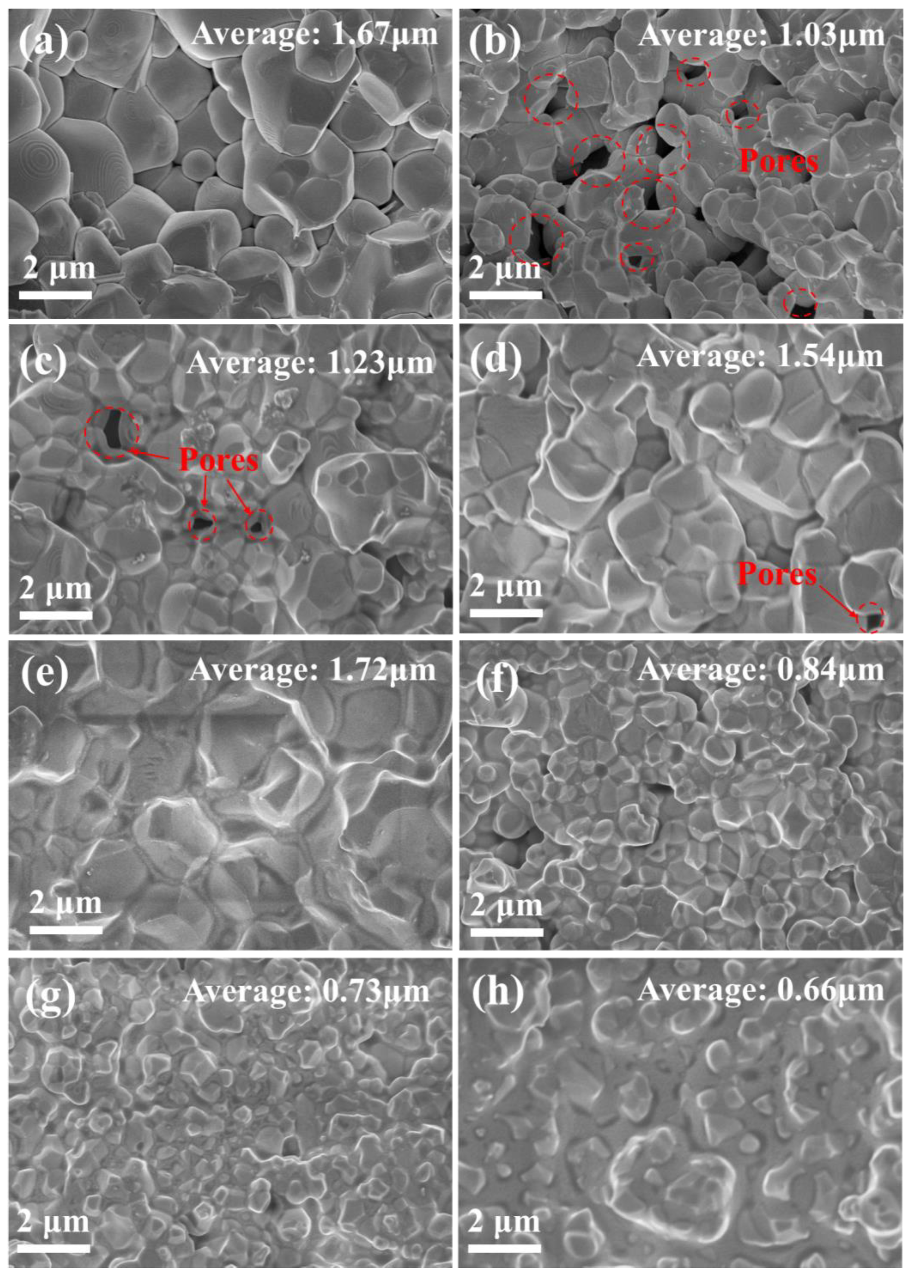 Crystals 16 00294 g002 Crystals 16 00294 g002