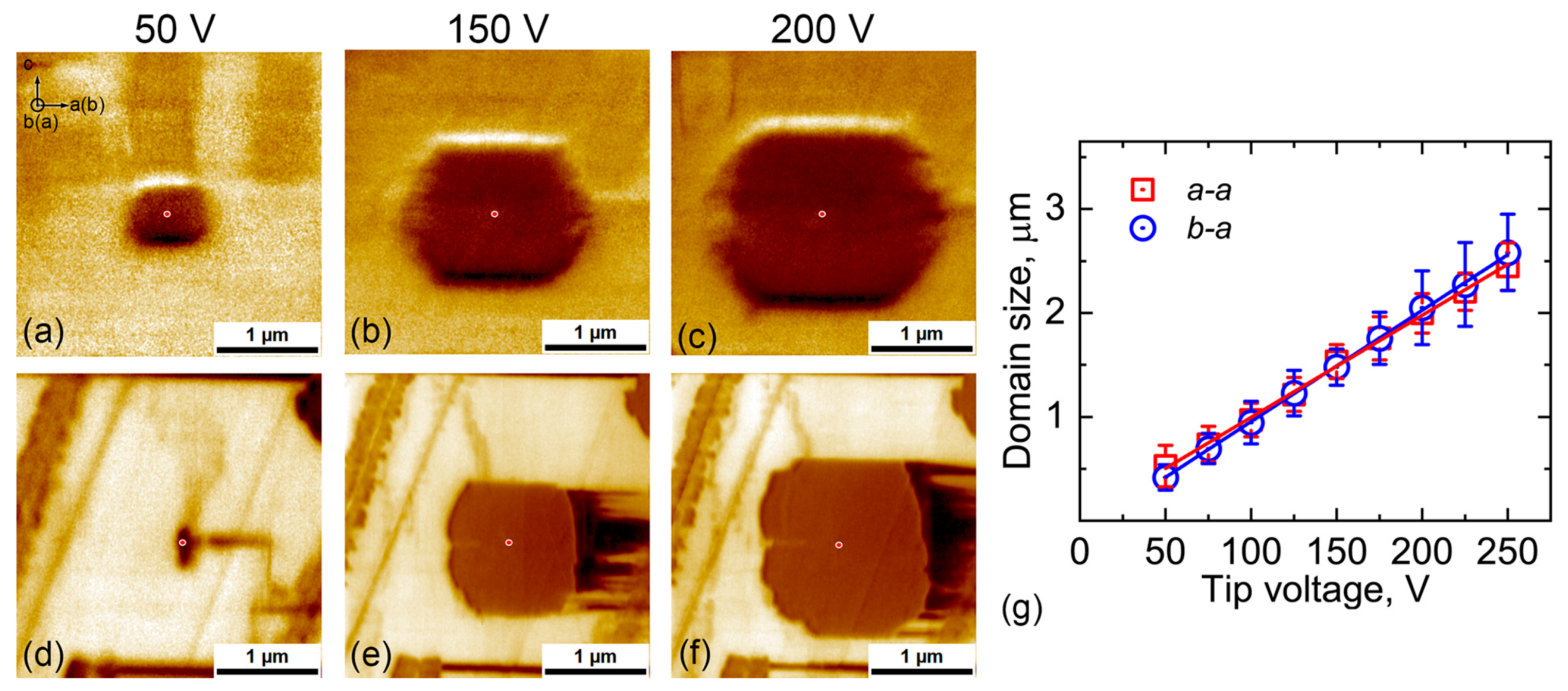 Crystals 16 00315 g003 Crystals 16 00315 g003