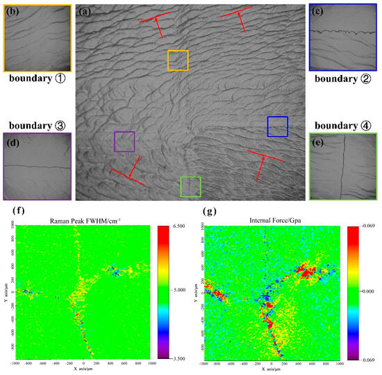 Advances in Homoepitaxial Mosaic Single-Crystal Diamond: Interface