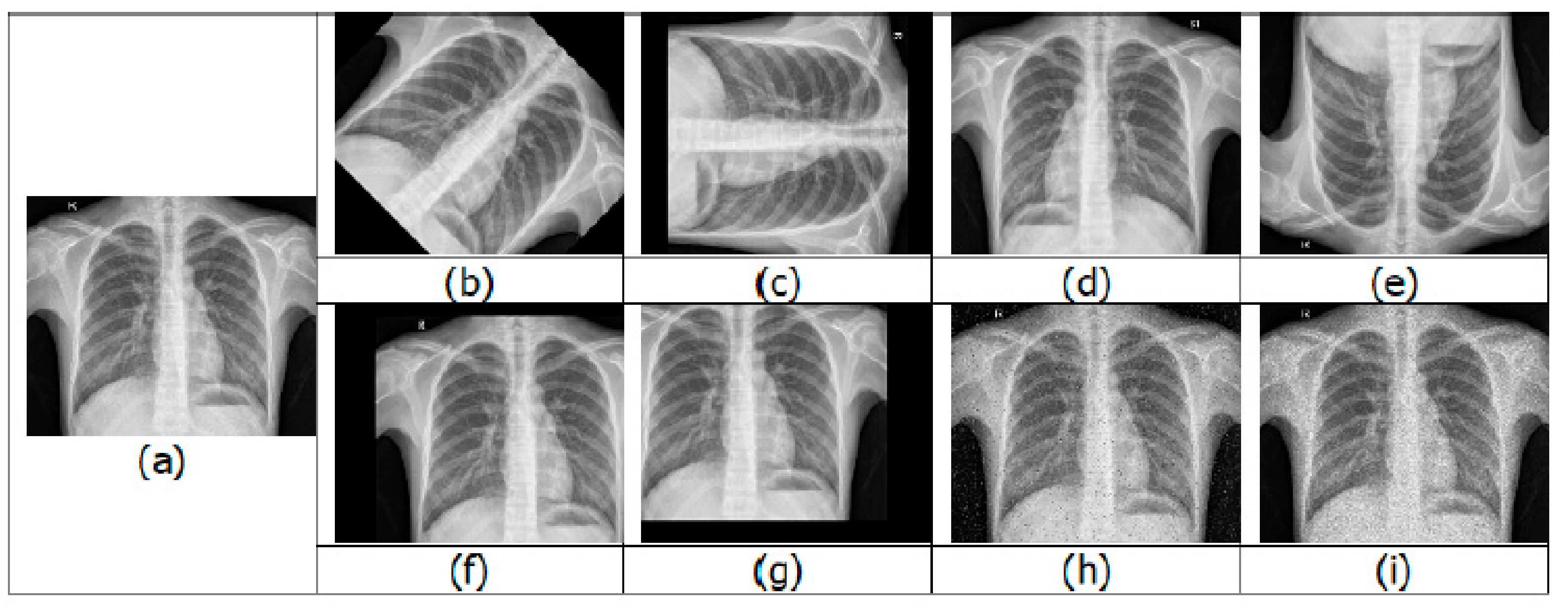 Csmf 02 00020 g002 550