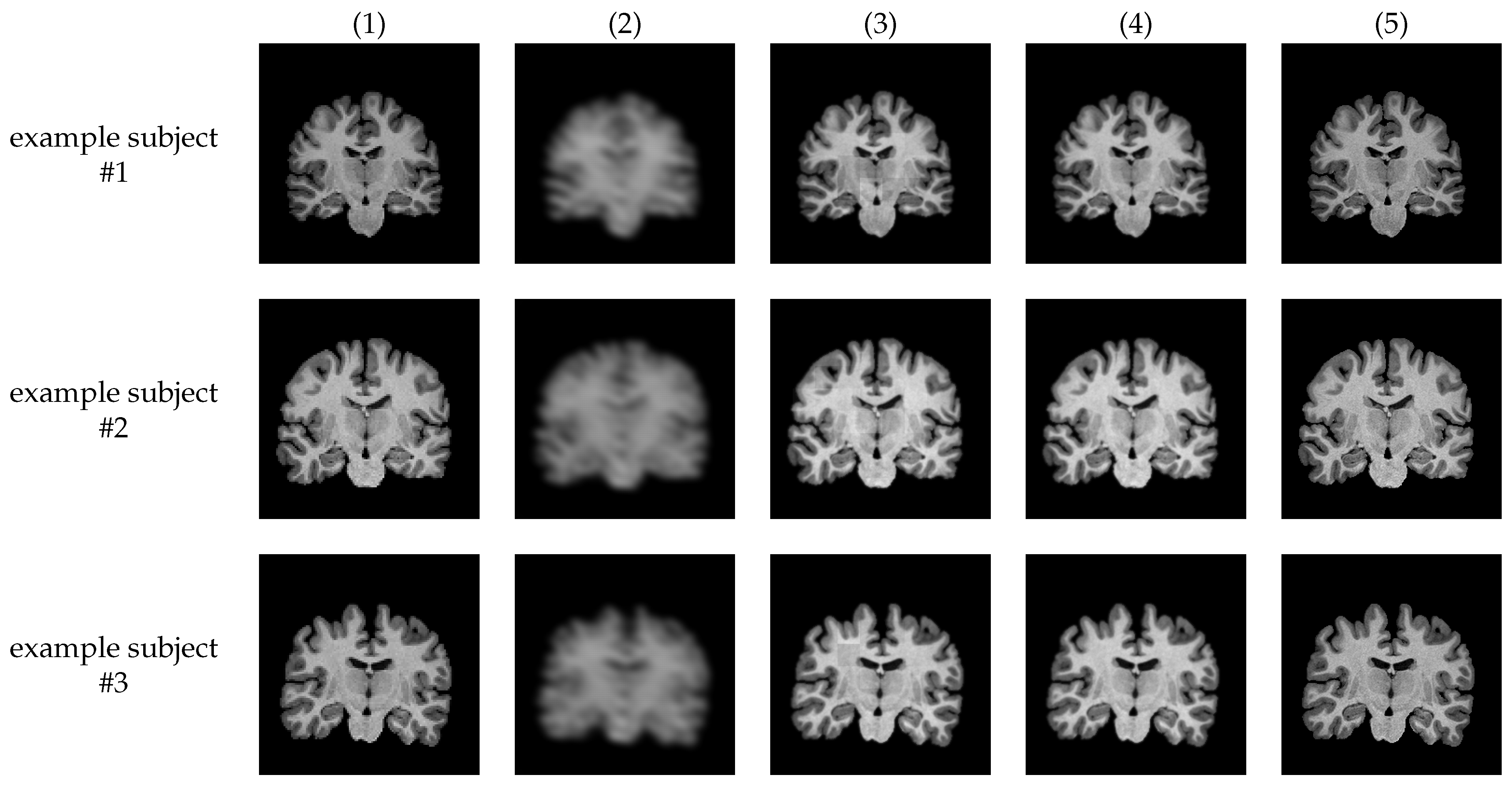 Csmf 03 00007 g002 550