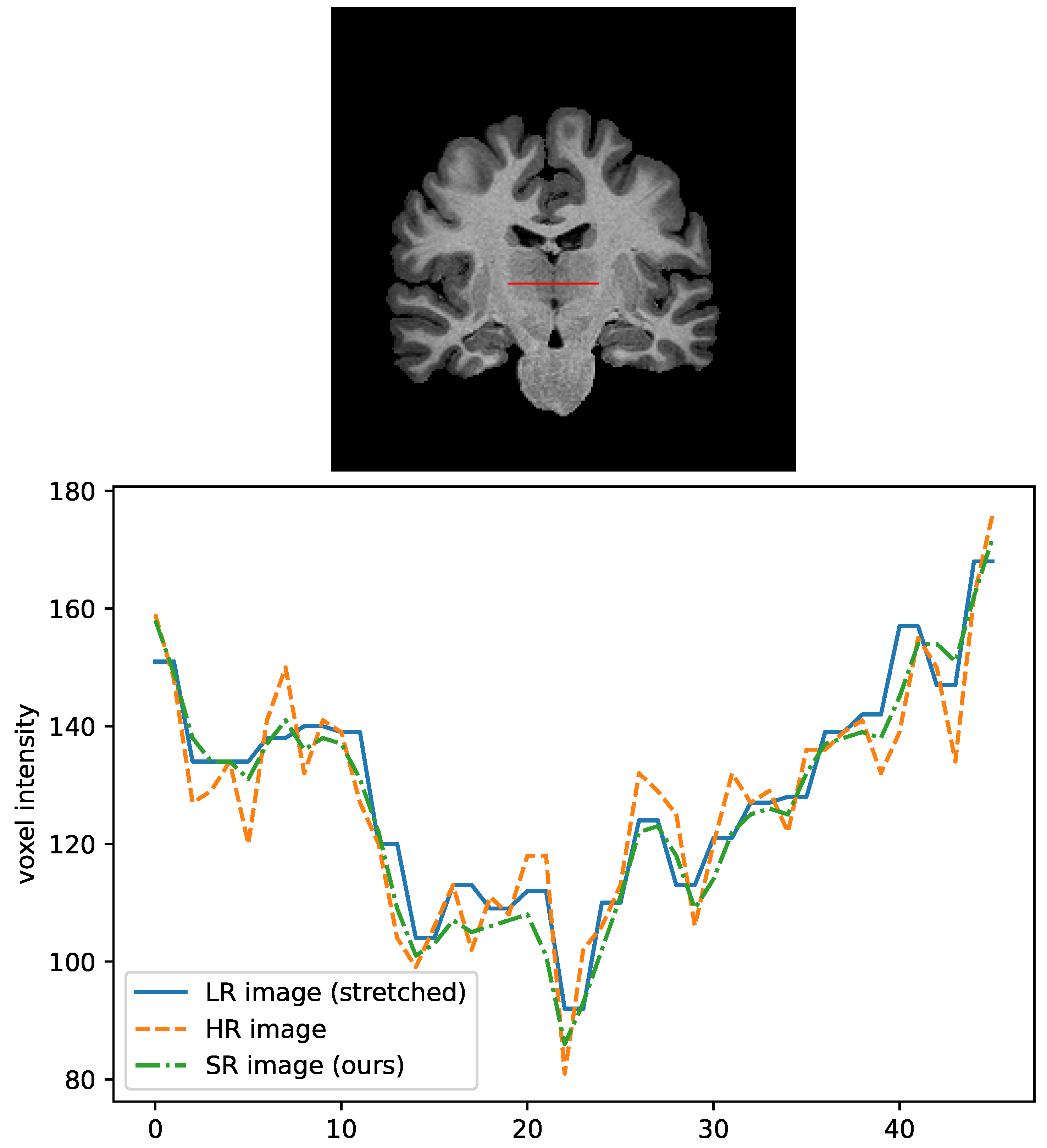 Csmf 03 00007 g005 550