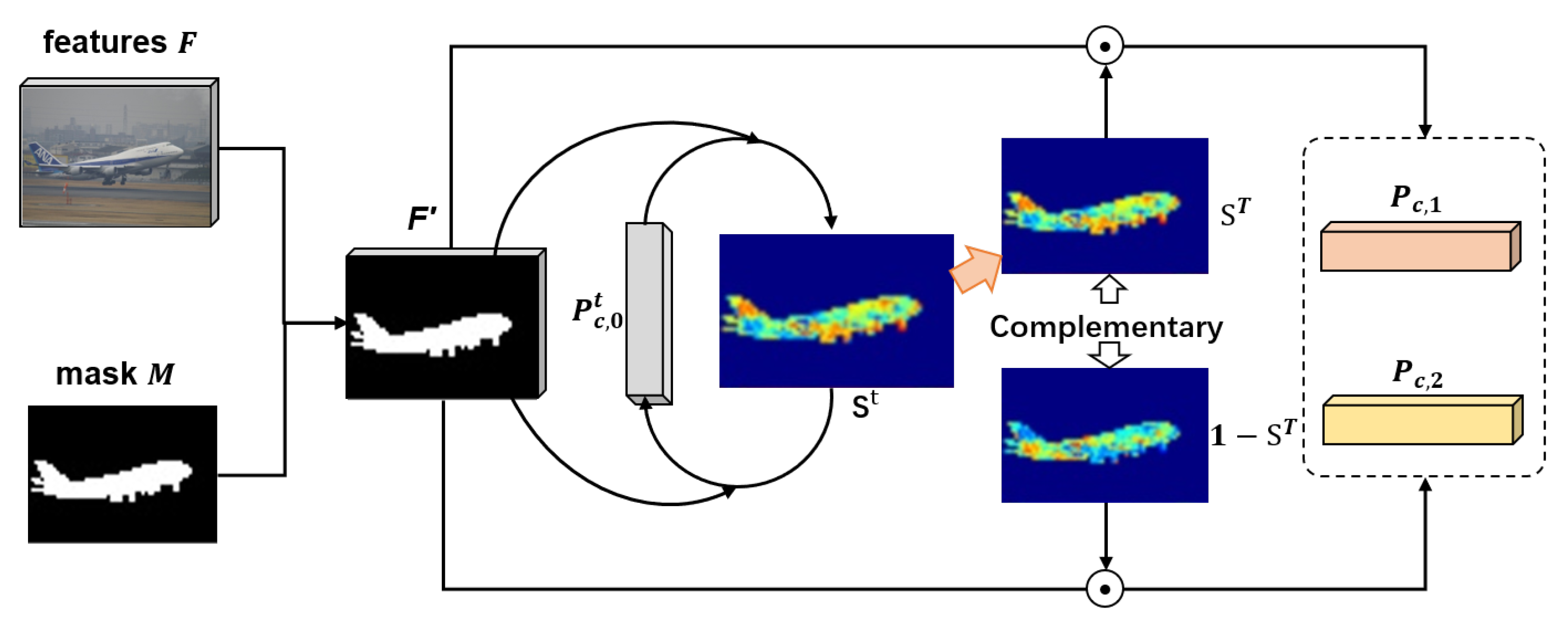 Csmf 03 00008 g003 550