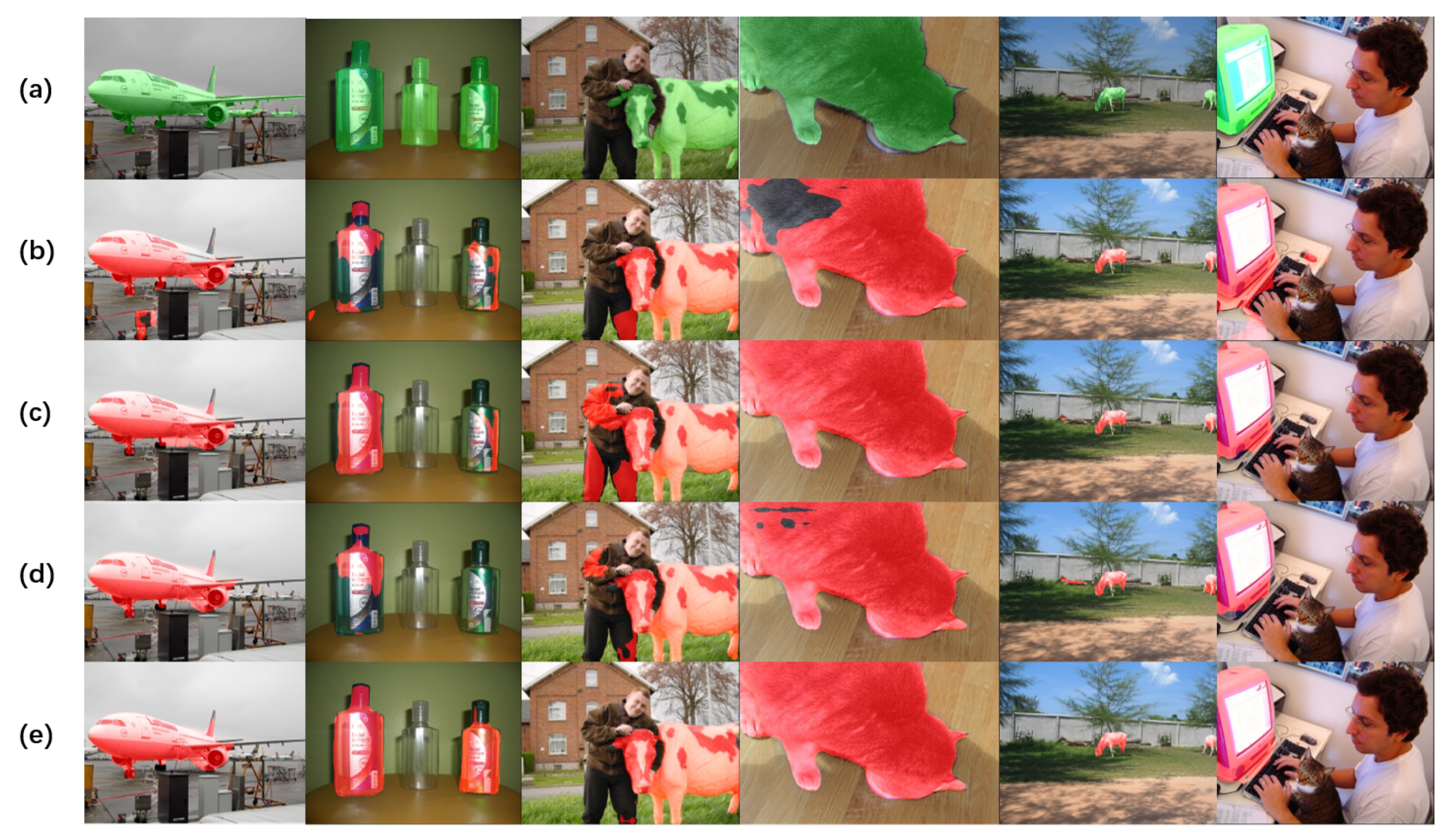 Csmf 03 00008 g004 550