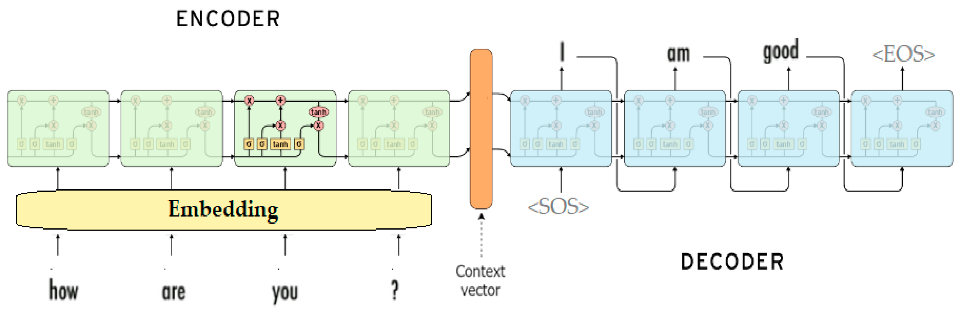 Csmf 06 00003 g004 550