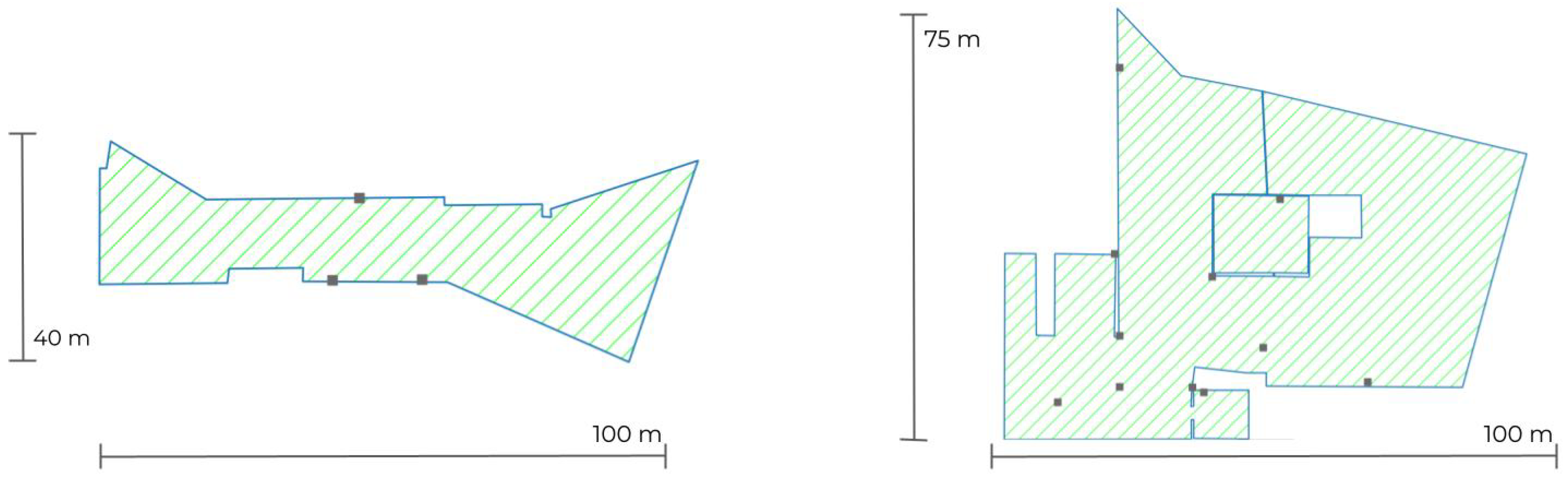 Csmf 09 00005 g002 Csmf 09 00005 g002