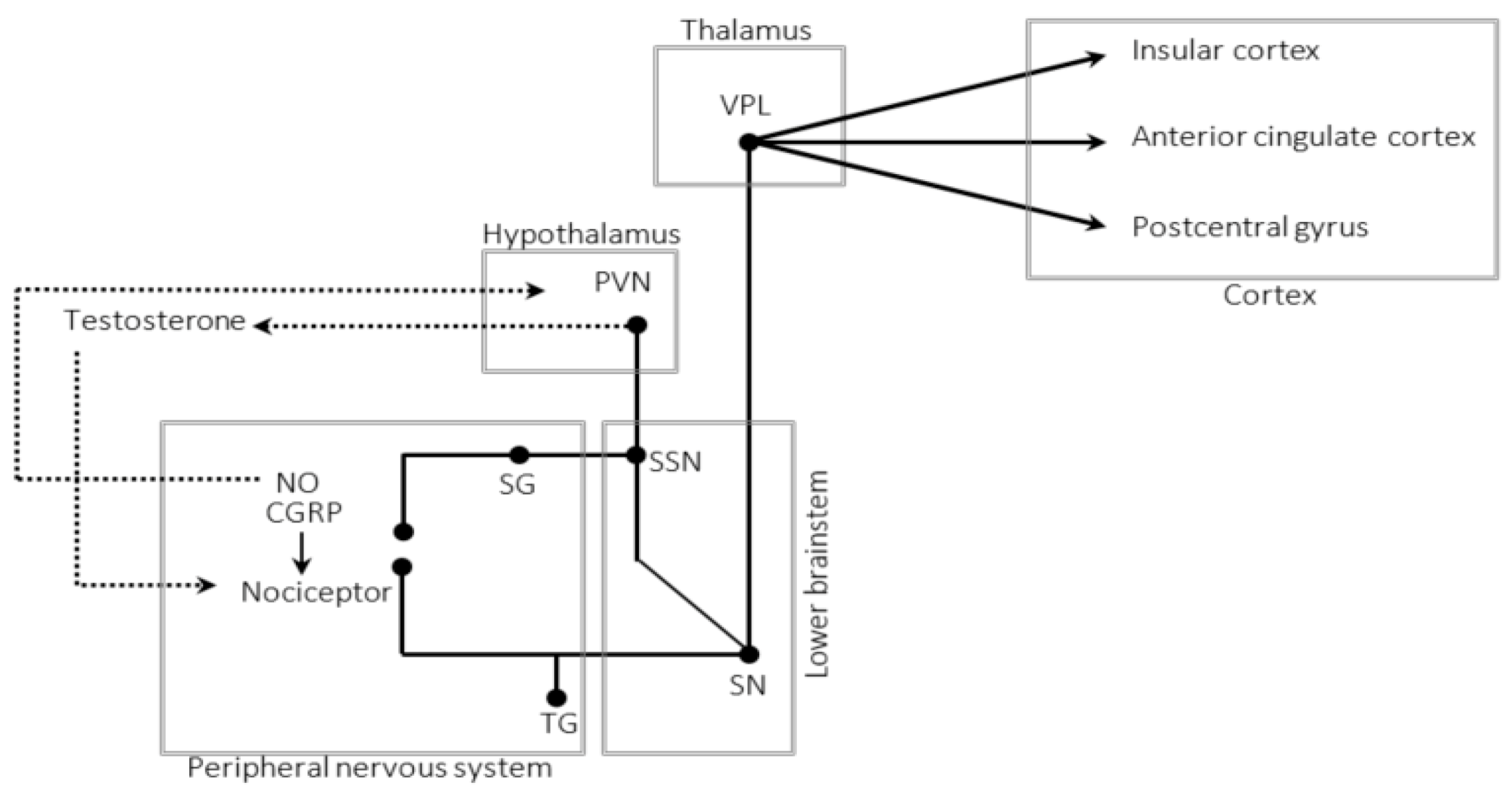 Ctn 05 00016 g001 Ctn 05 00016 g001